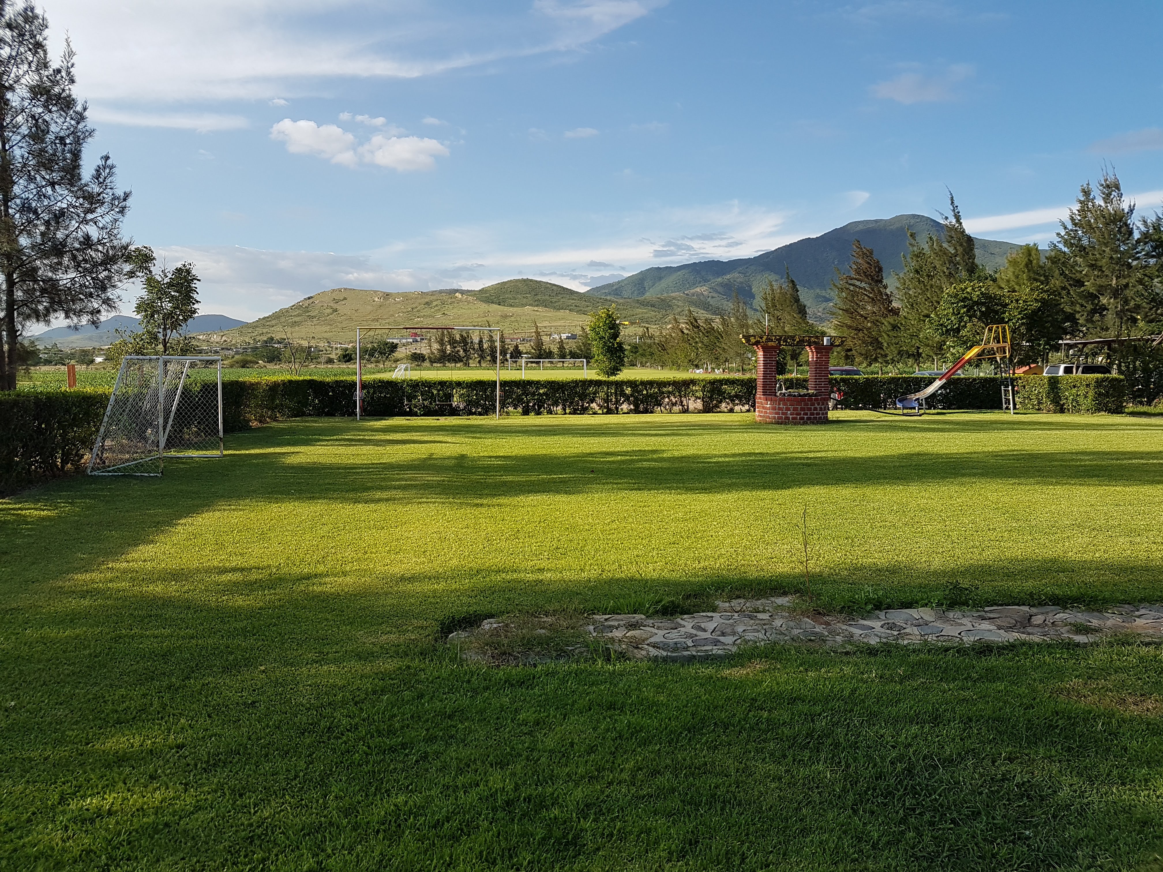 Quinta Ortiz image 4