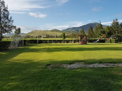 Quinta Ortiz image 4