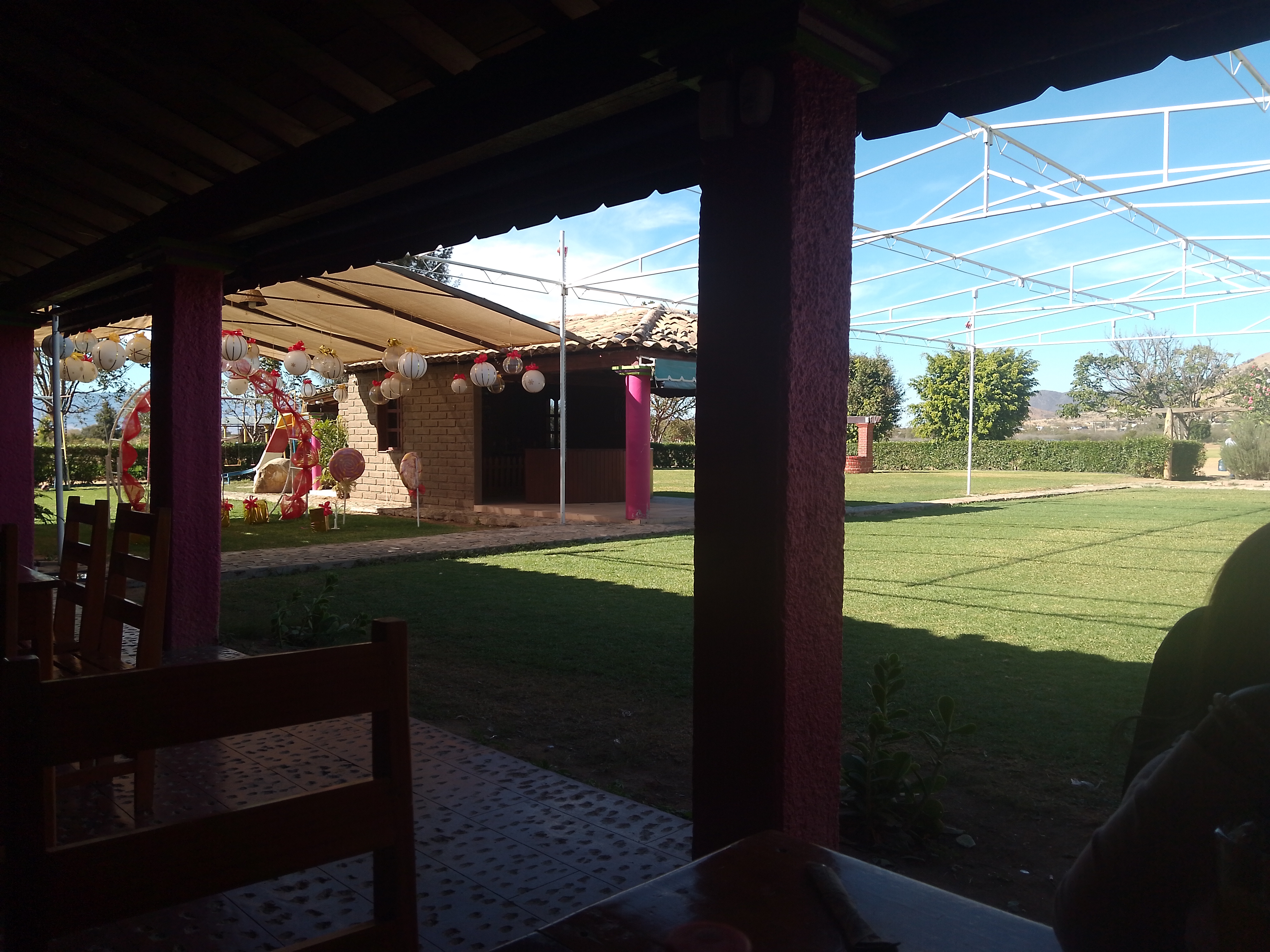 Quinta Ortiz image 7