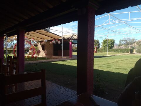 Quinta Ortiz image 7