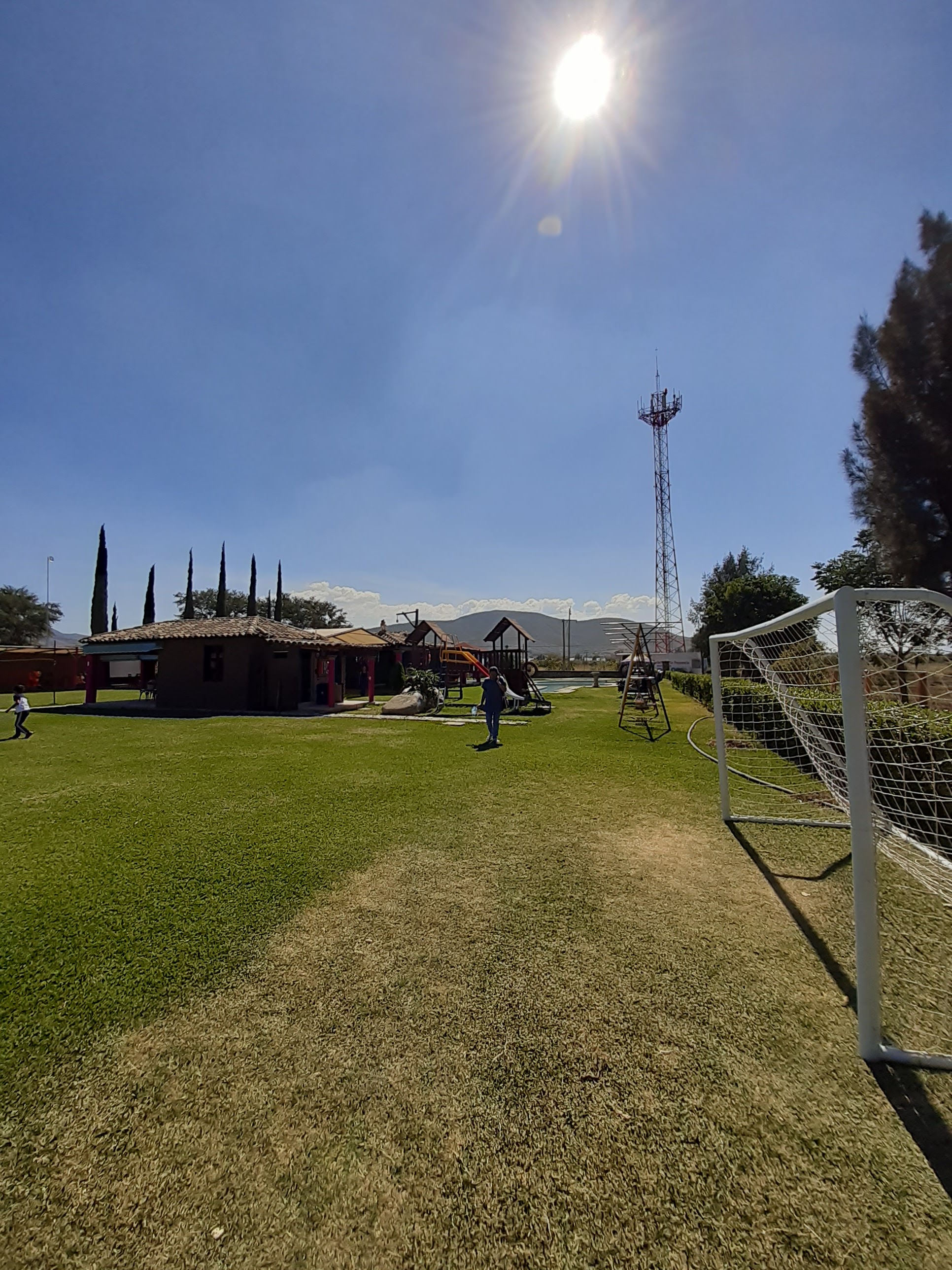 Quinta Ortiz image 8