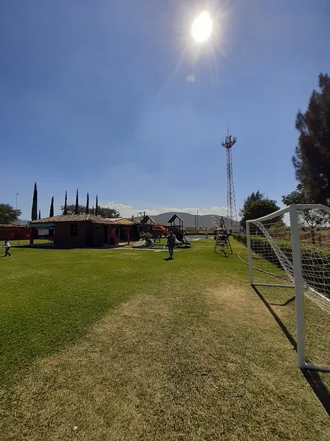 Quinta Ortiz image 8