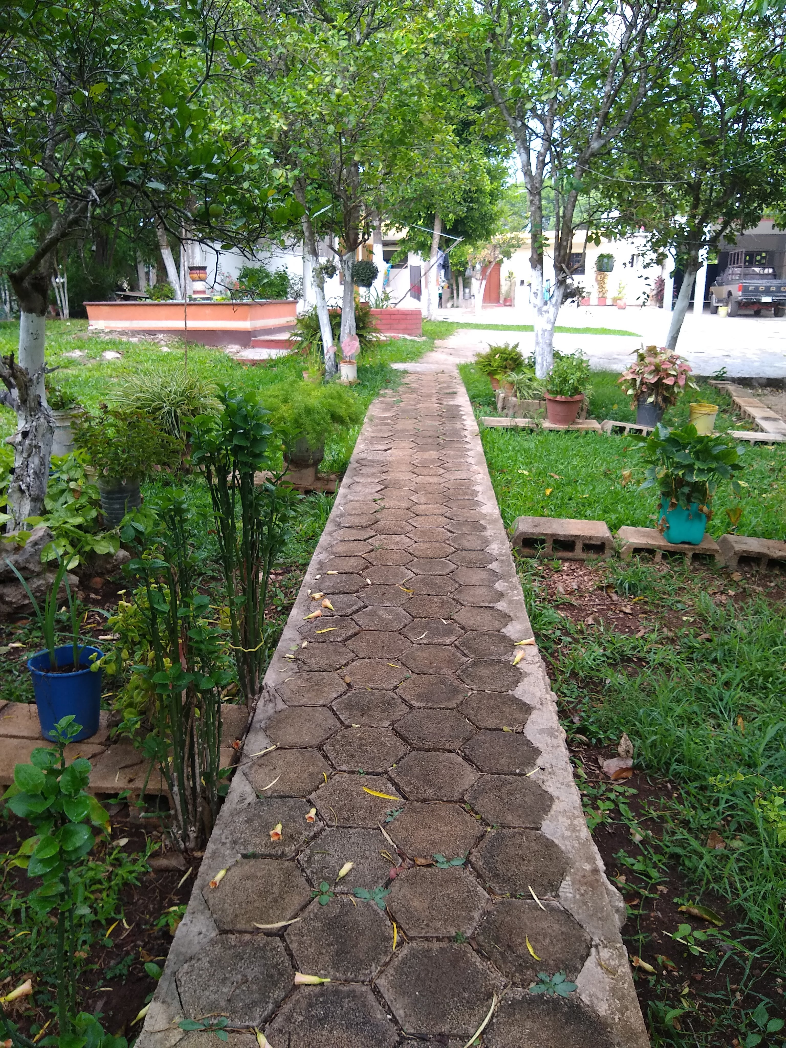 Loncheria Gafy image 2