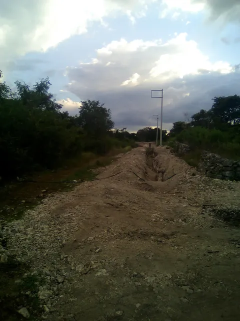 Loncheria Gafy image 4