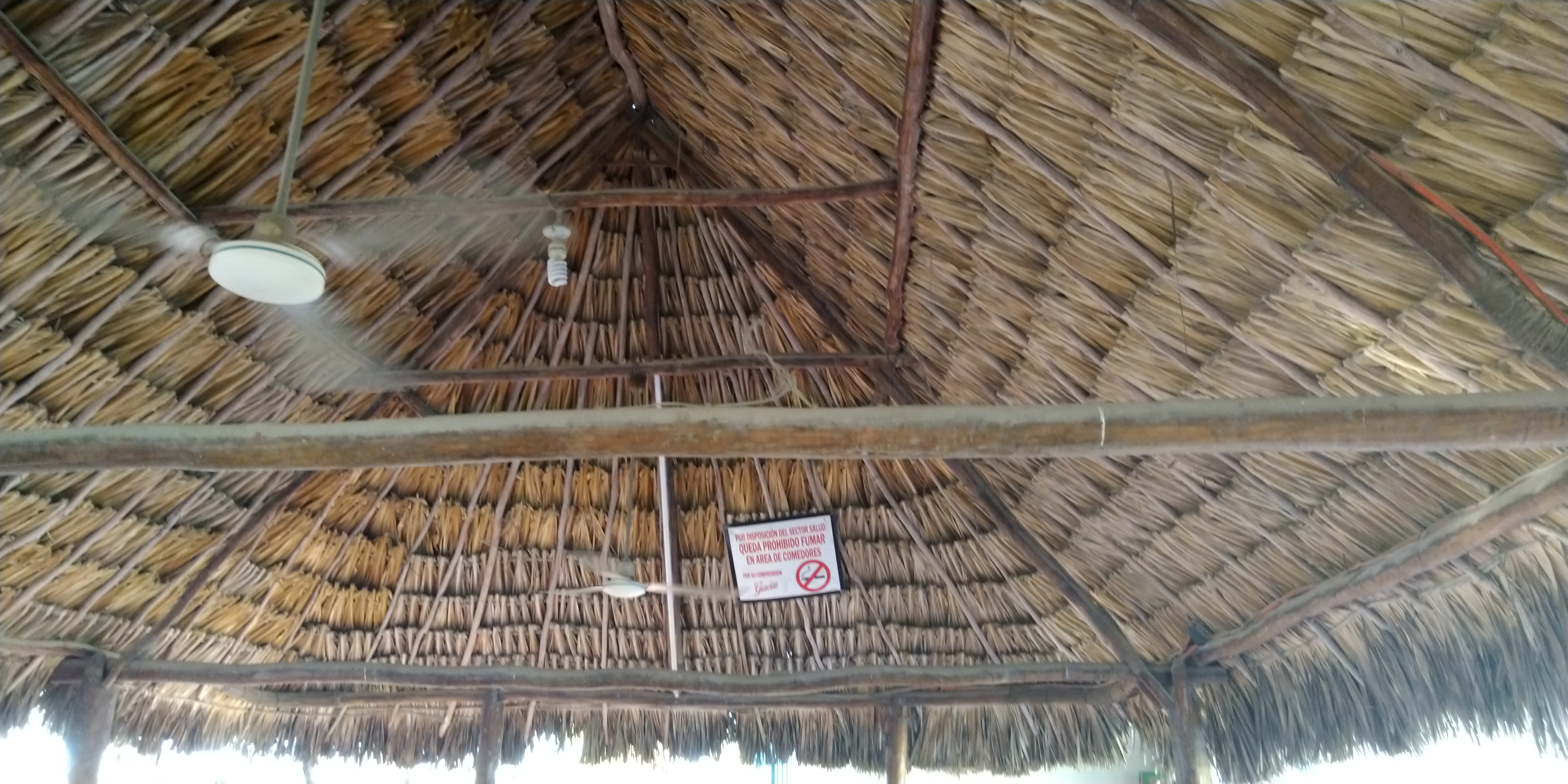 La Palapa De Pedro image 9