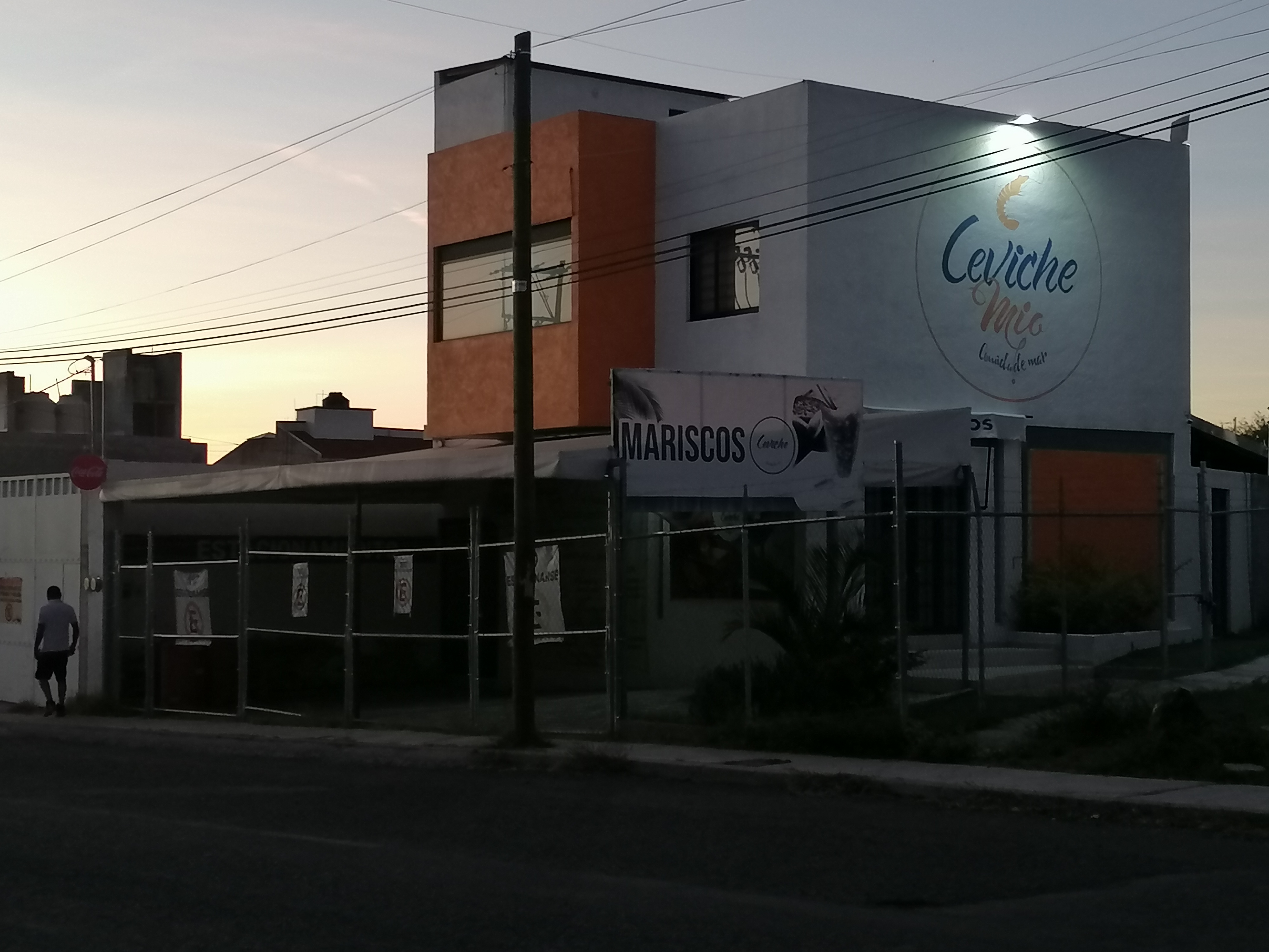 Ceviche mío (mariscos) image 5