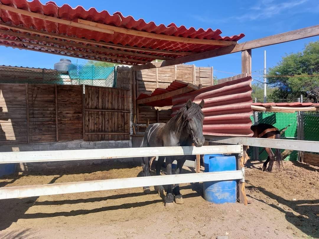 Restaurante Chon y Chano image 3