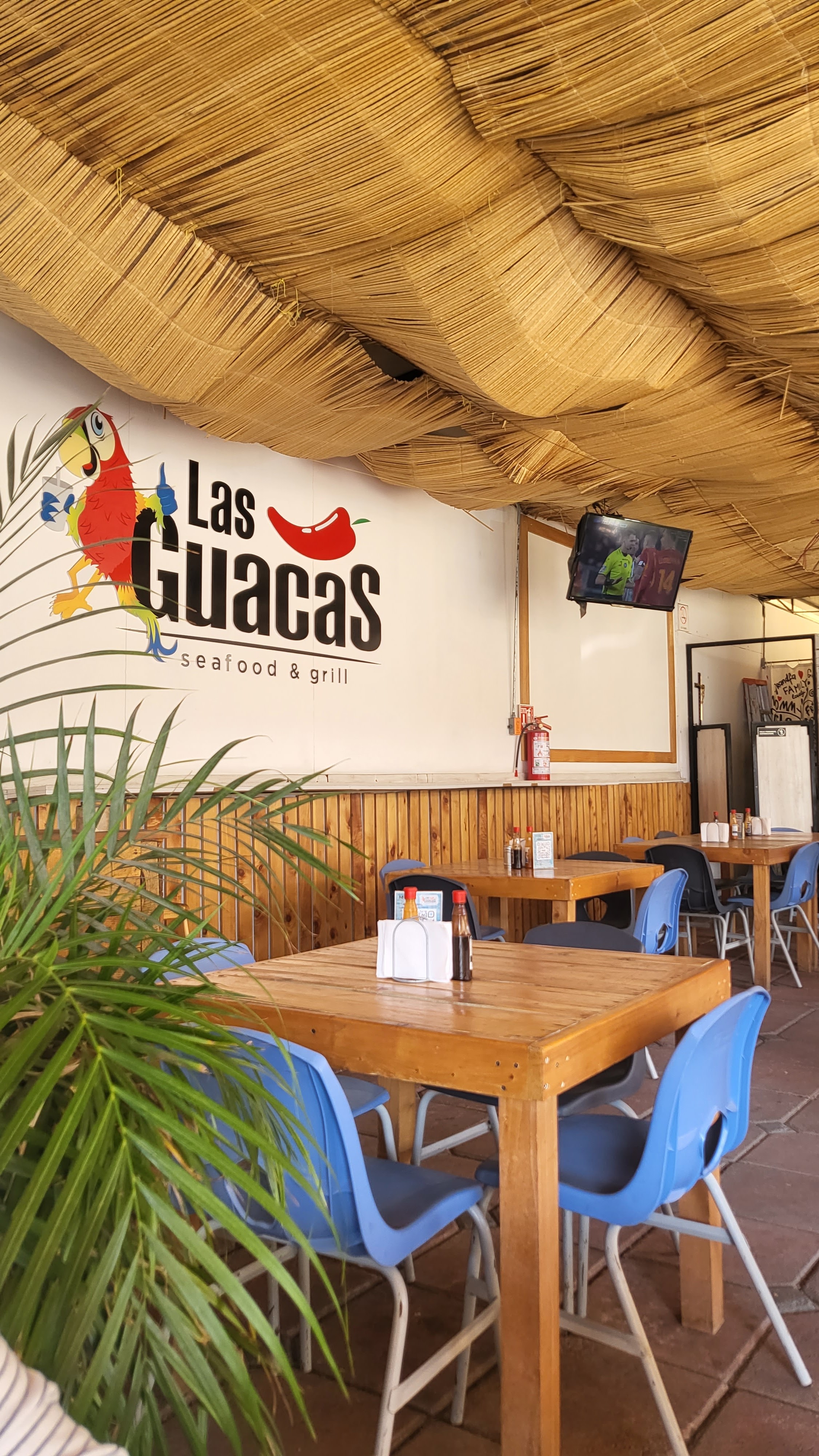 LAS GUACAS image 5
