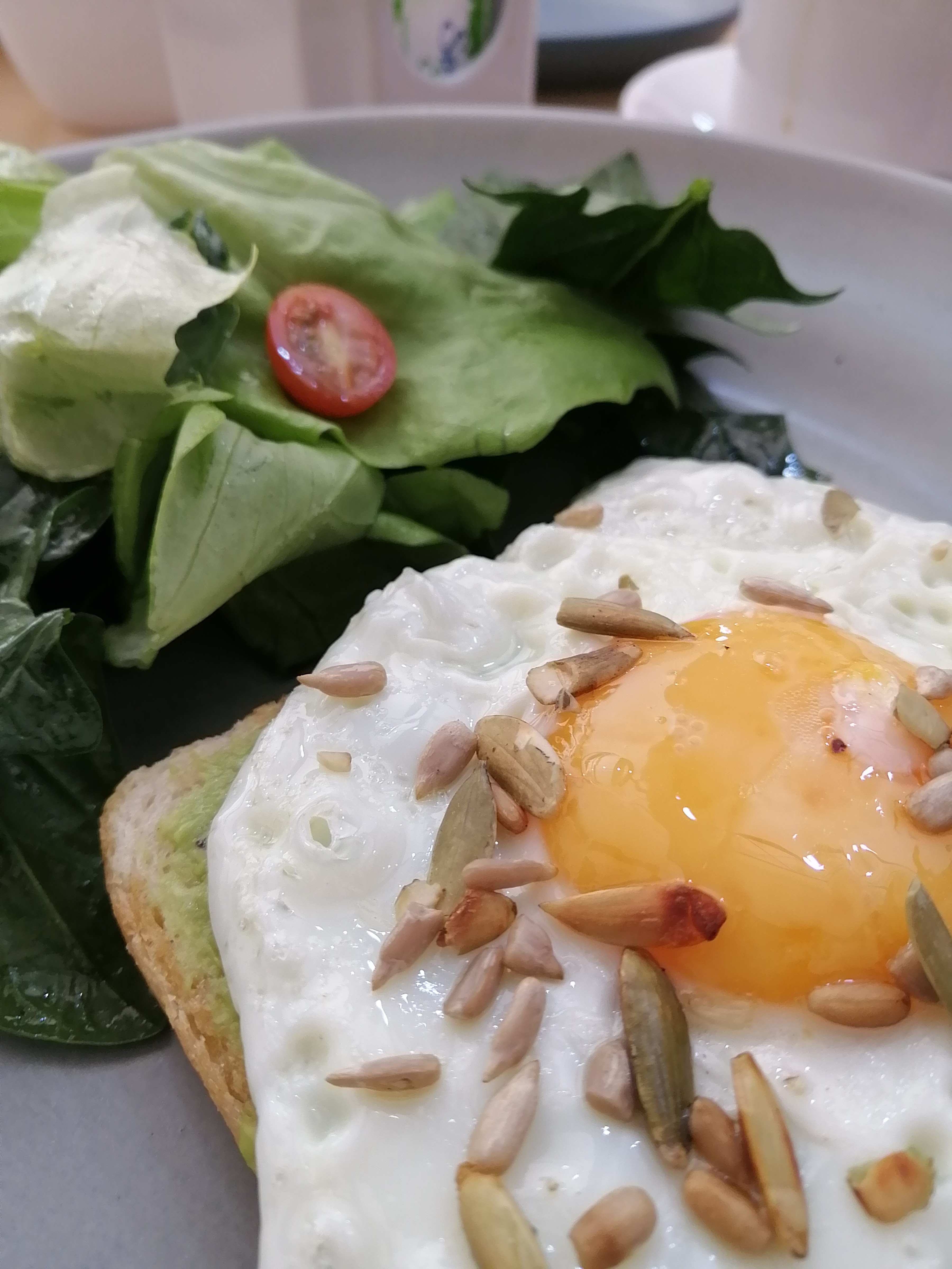 Restaurante - caxtolli IGES image 9