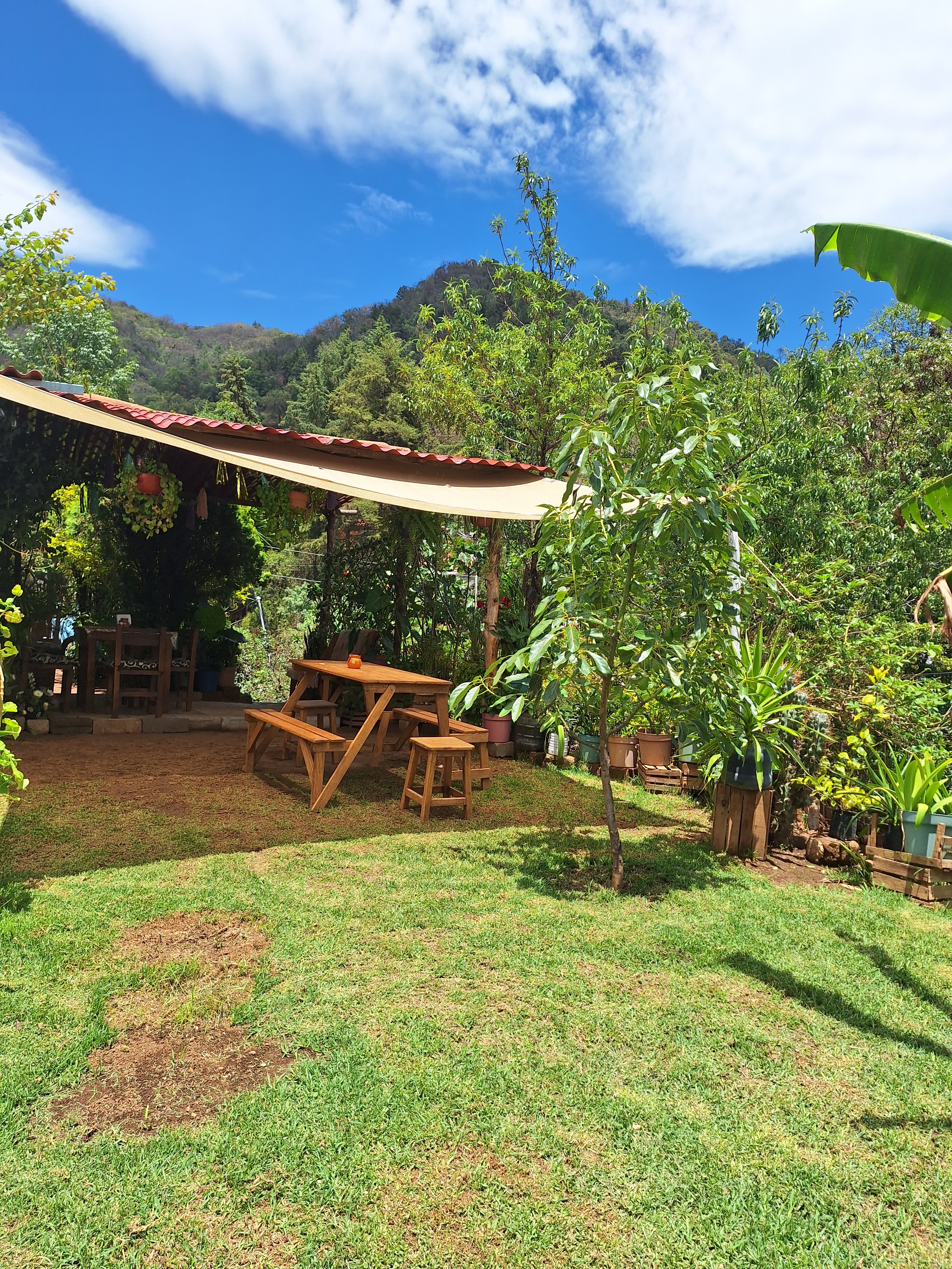 La Escondidita Mx image 7