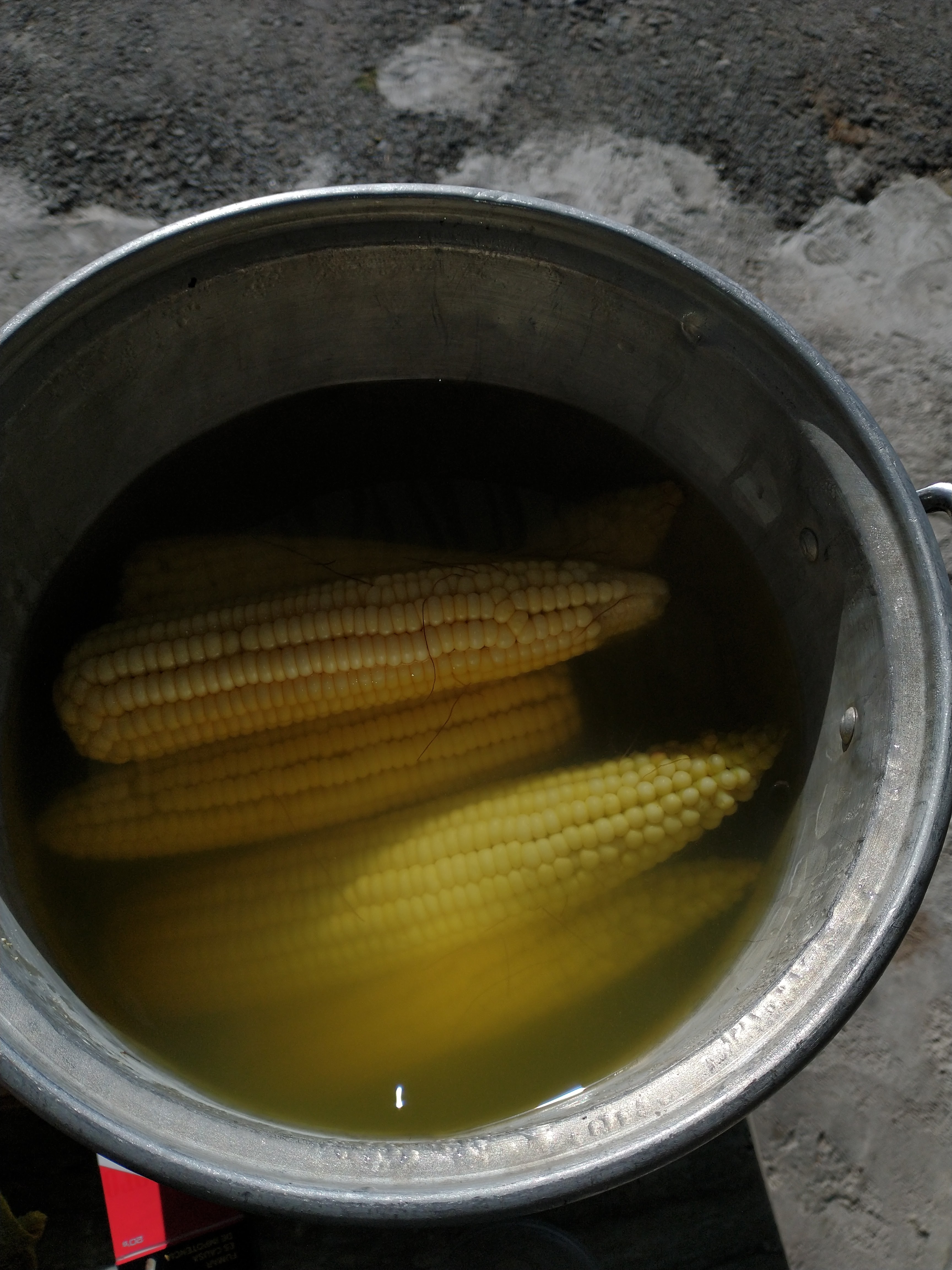 Elotes el Yorch image 7