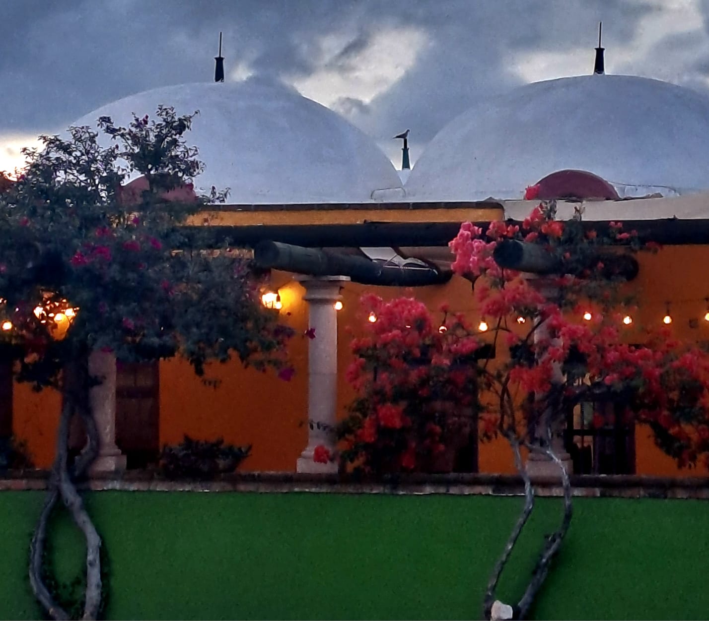 Terruño Restaurante Bar image 3