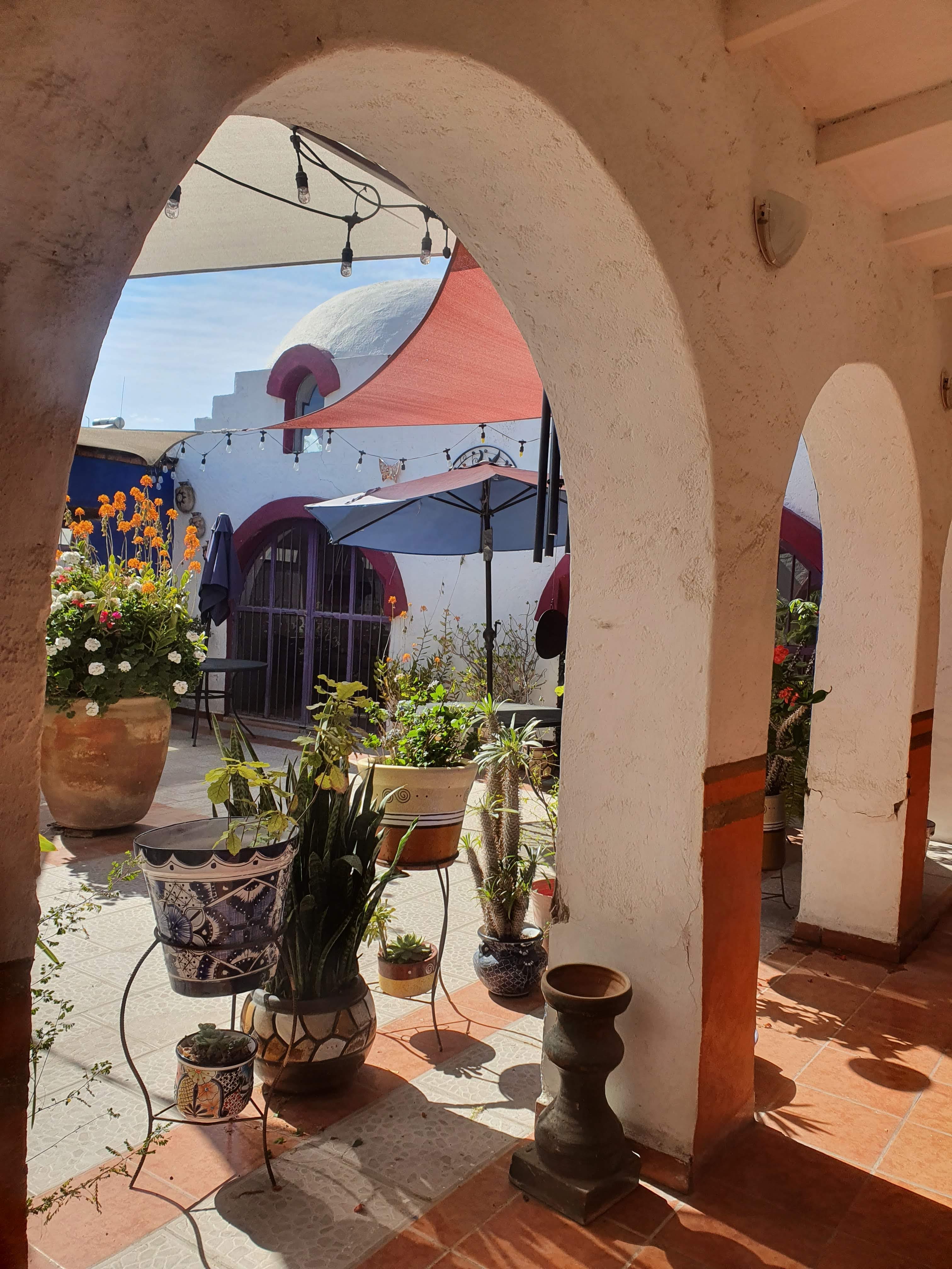 Terruño Restaurante Bar image 5