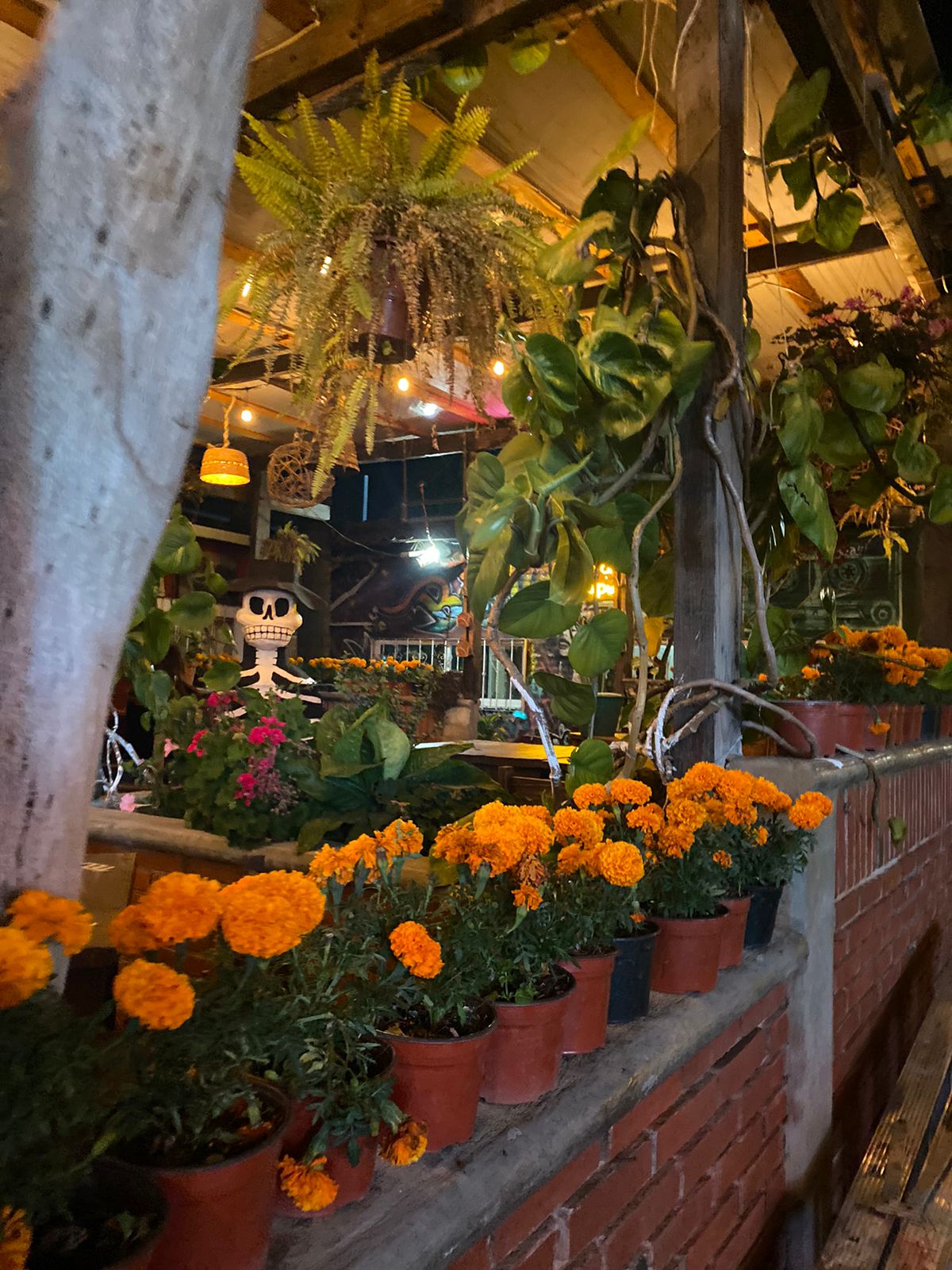 Restaurante barra del 83 image 10