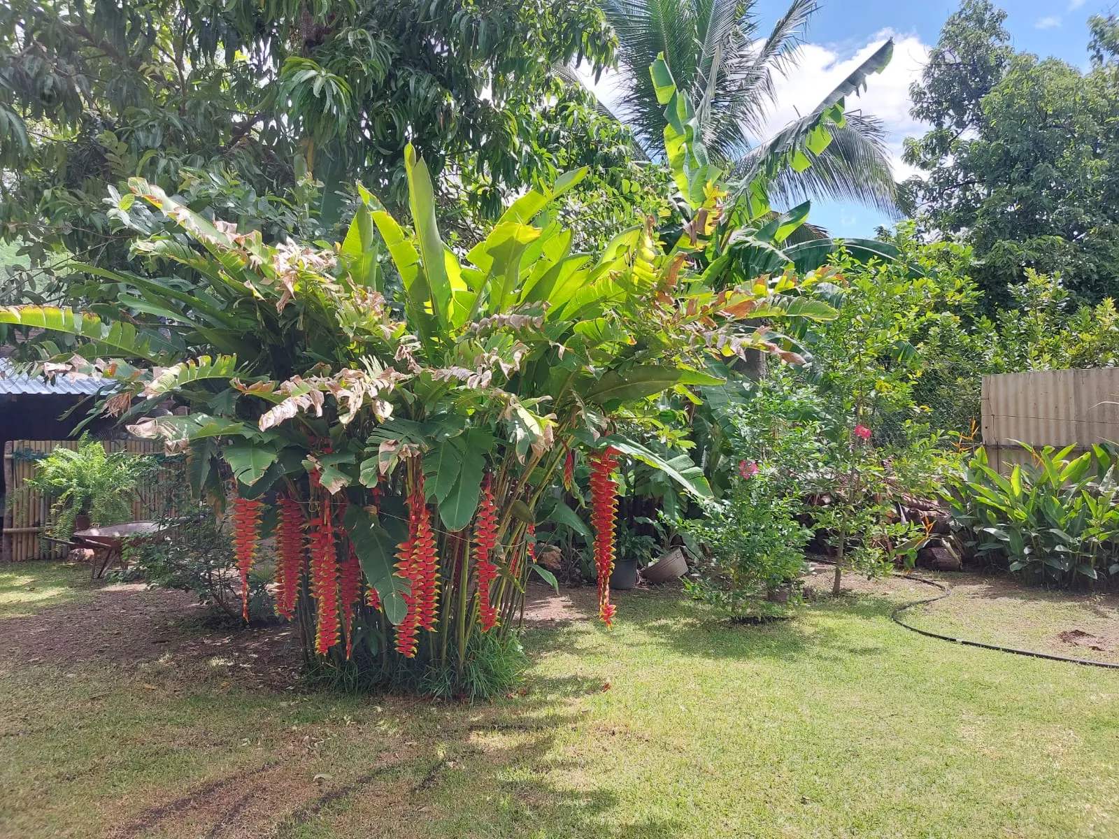 Pozolería "El Jardín" image 3