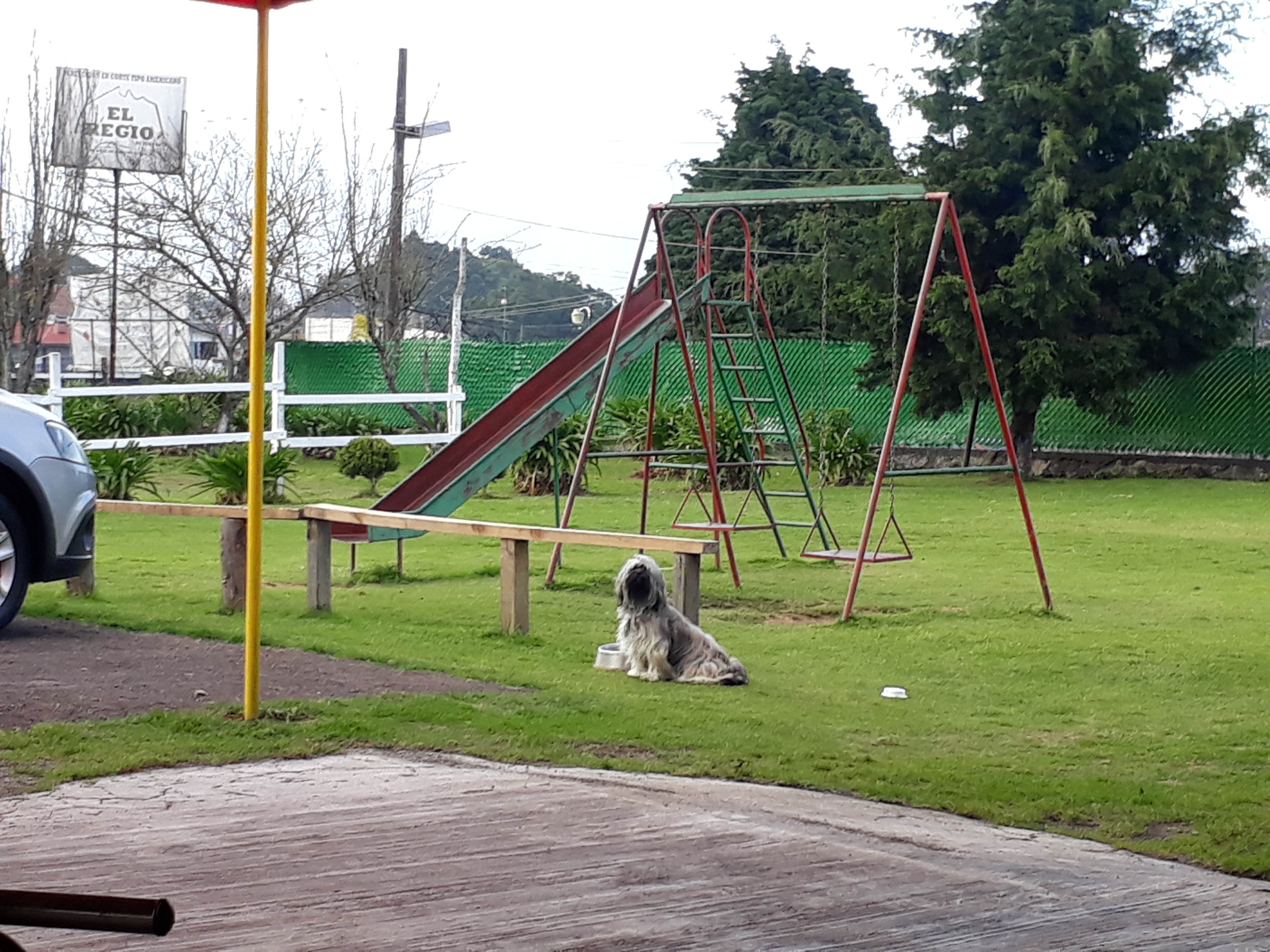 El Regio Teziuteco image 7