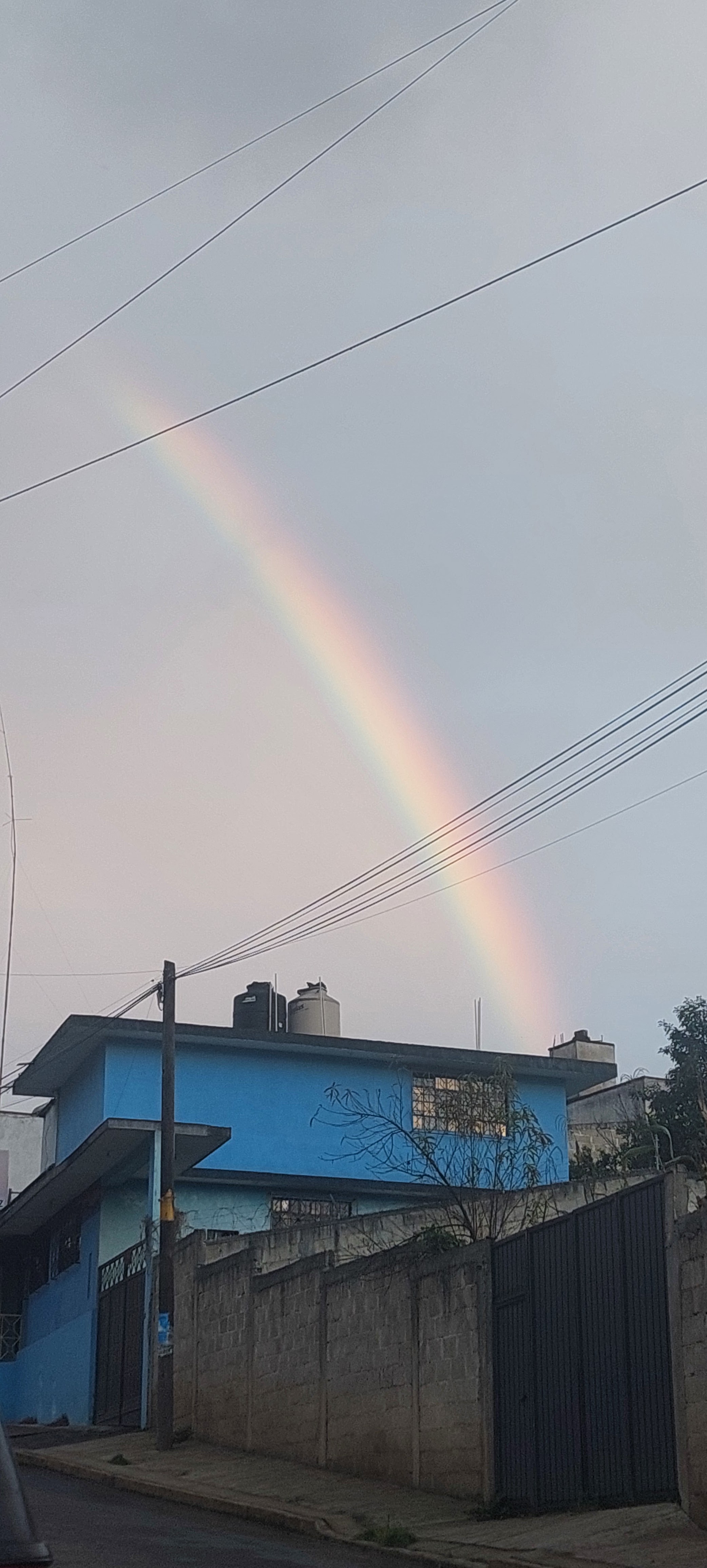 CAMARON FELIZ image 7