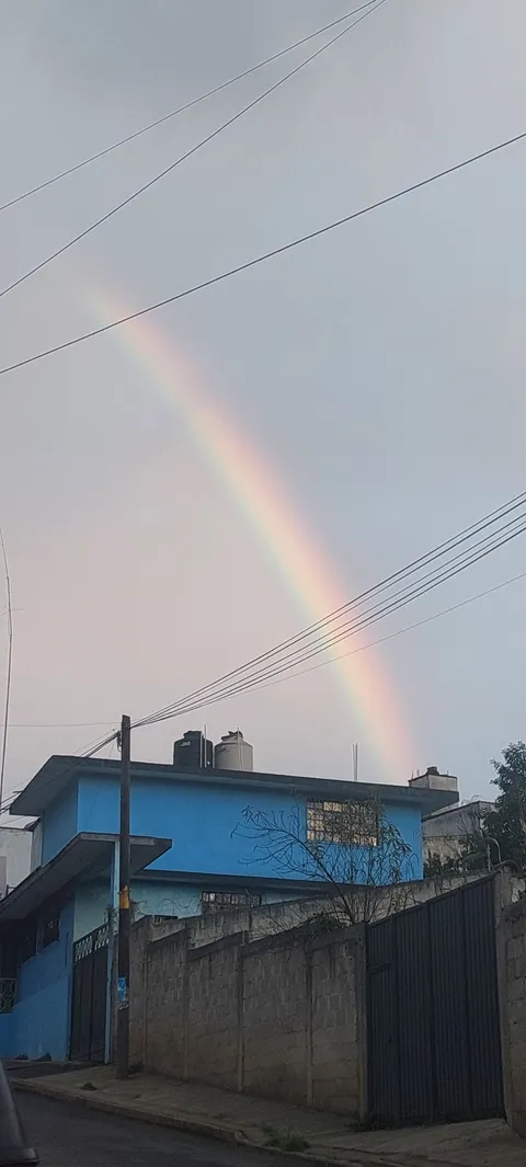 CAMARON FELIZ image 7