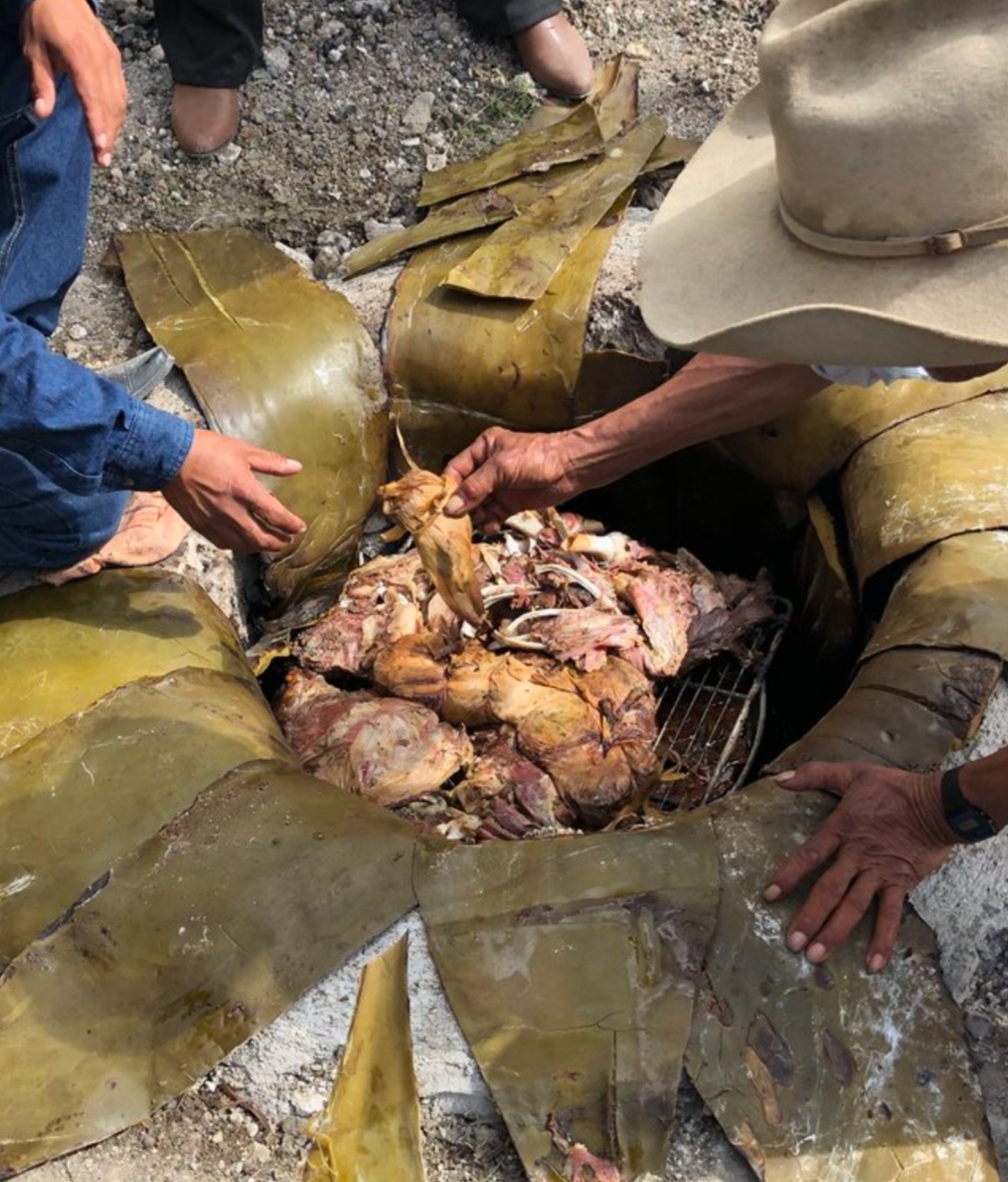 Ranchito Colin image 4