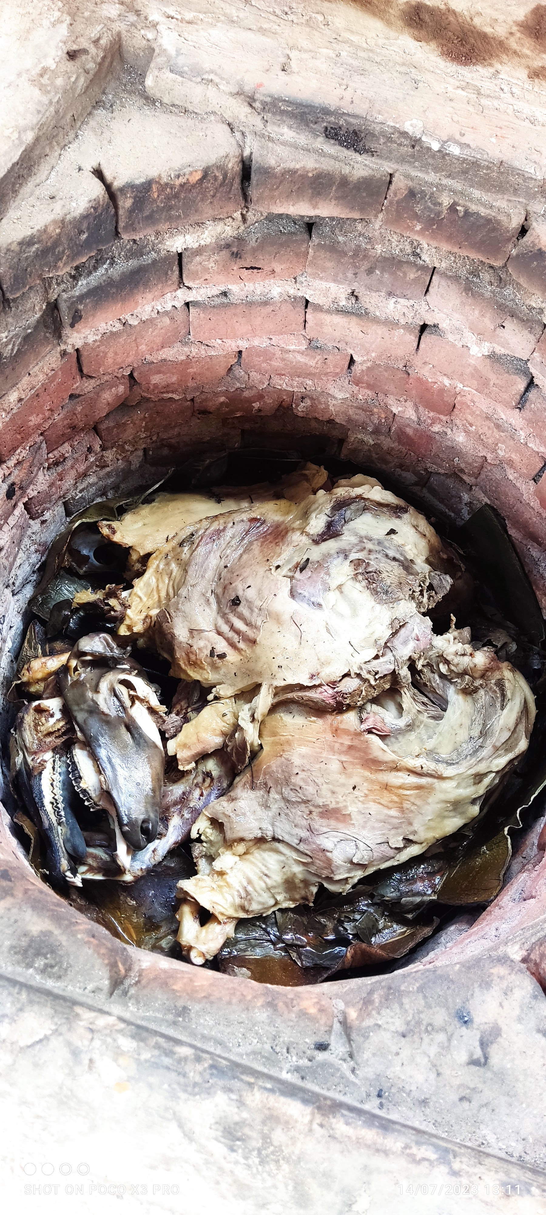 Ranchito Colin image 6