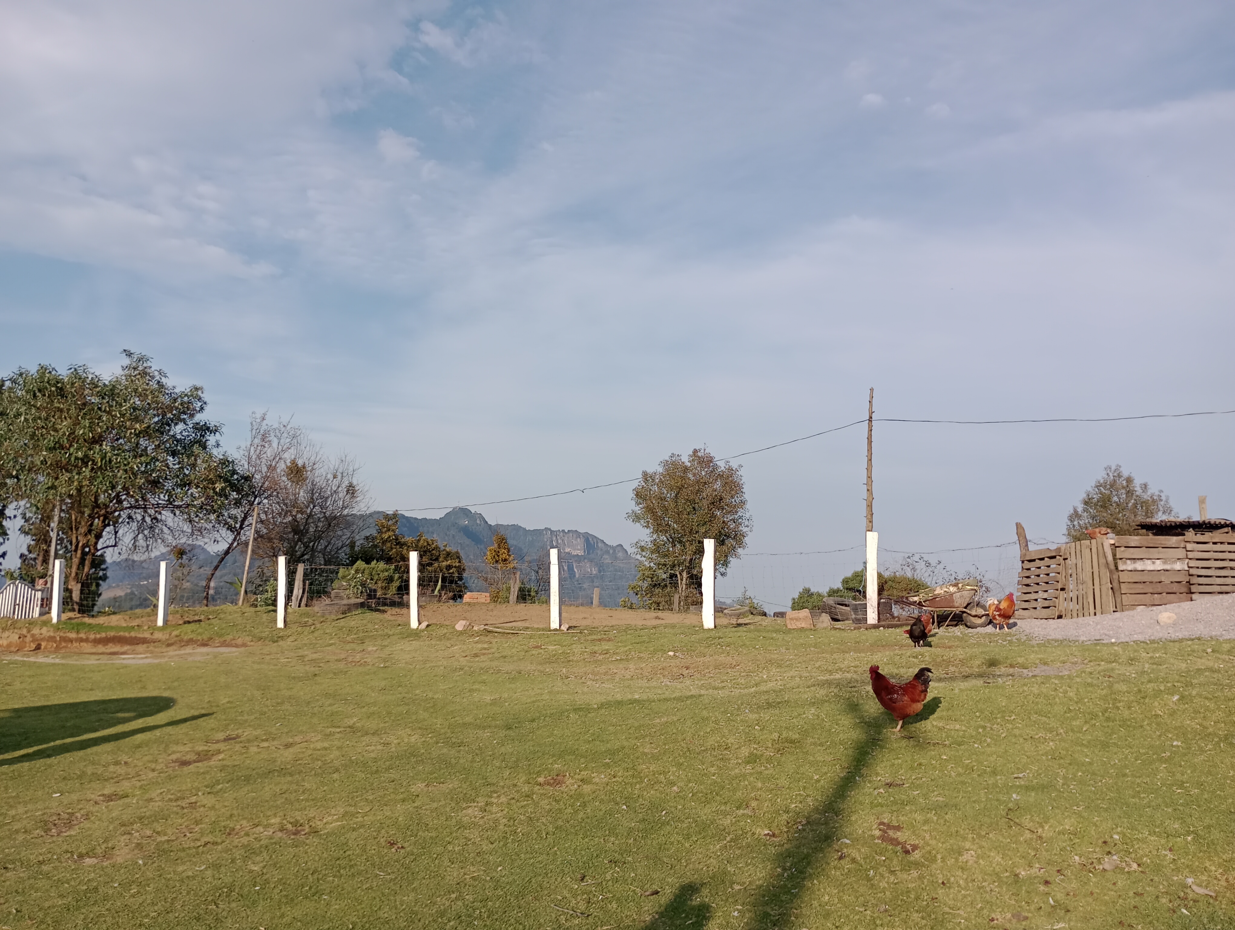 Ranchito Colin image 9