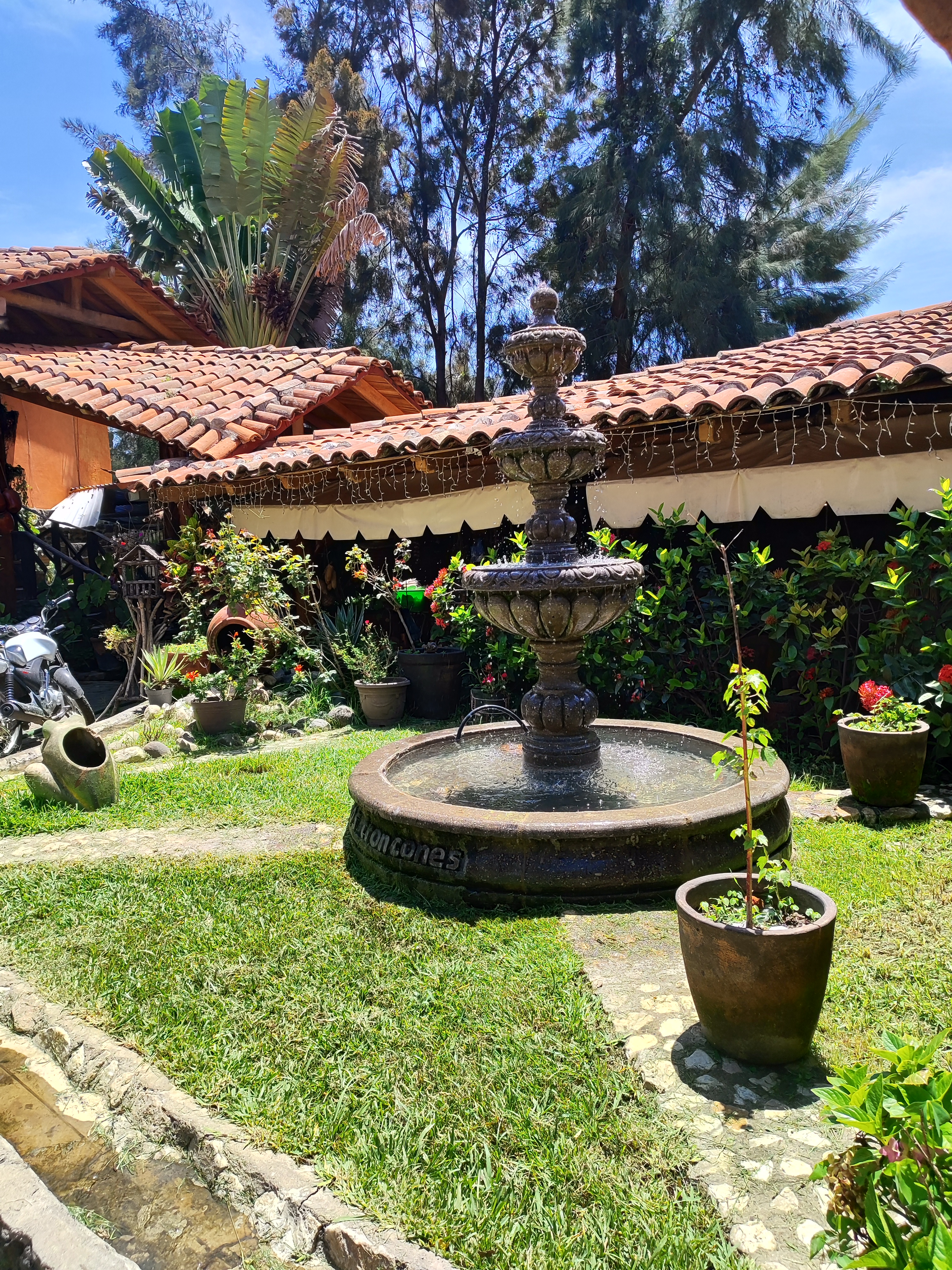 Restaurante Los Troncones image 3