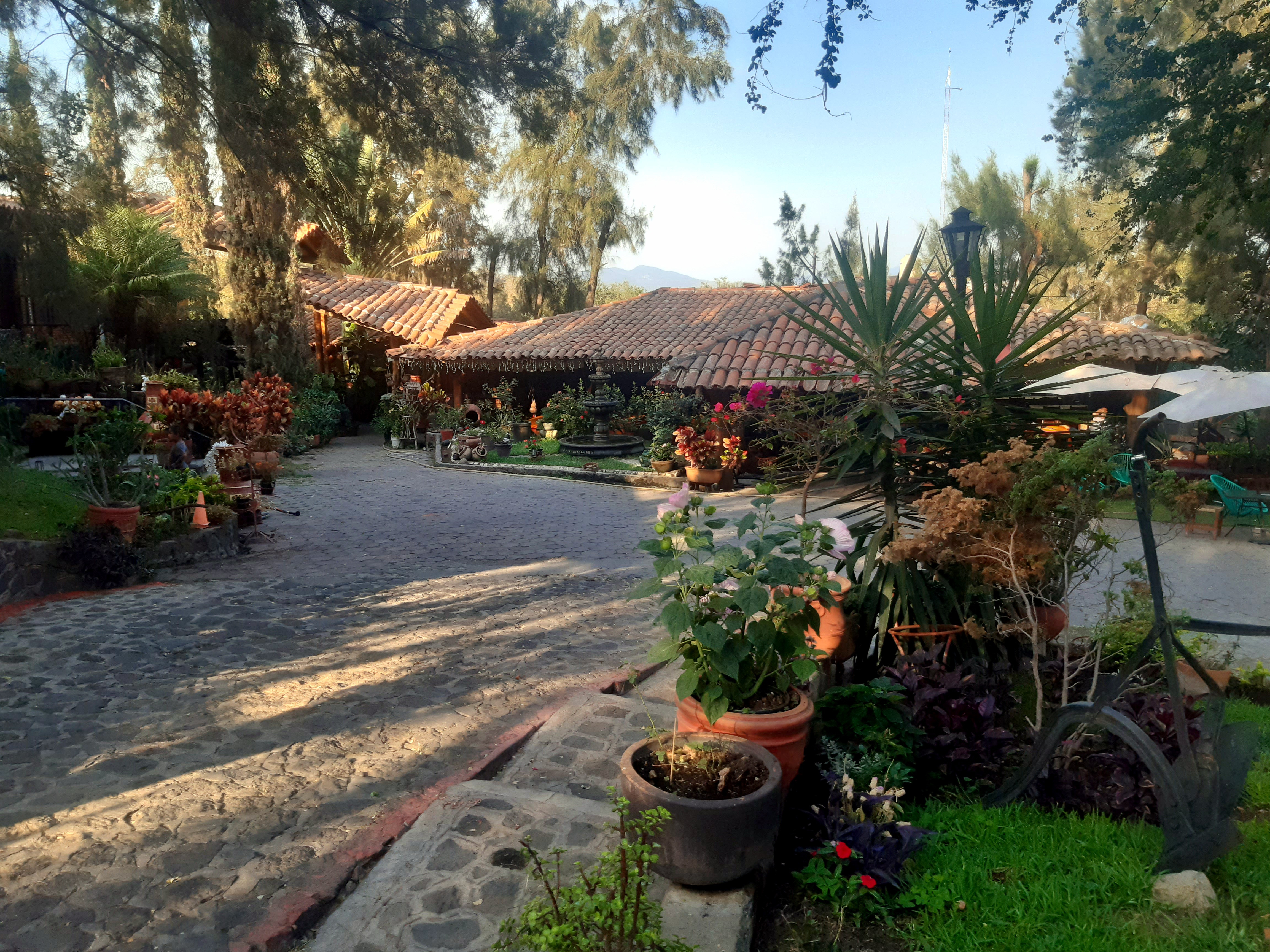 Restaurante Los Troncones image 4