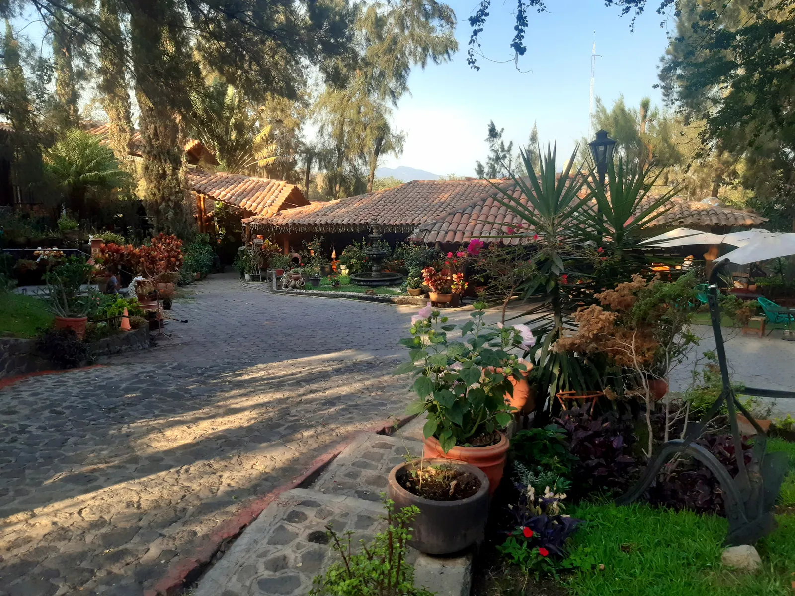 Restaurante Los Troncones image 4