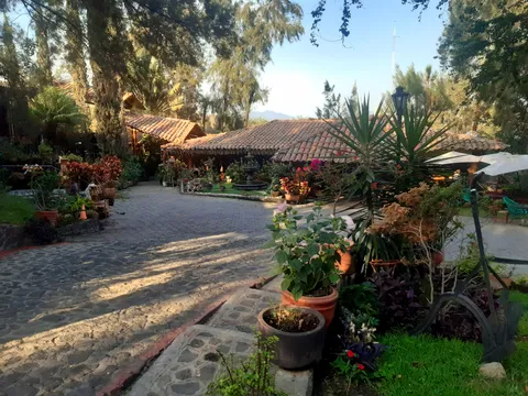 Restaurante Los Troncones image 4