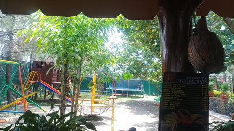 Restaurante Los Troncones image 6
