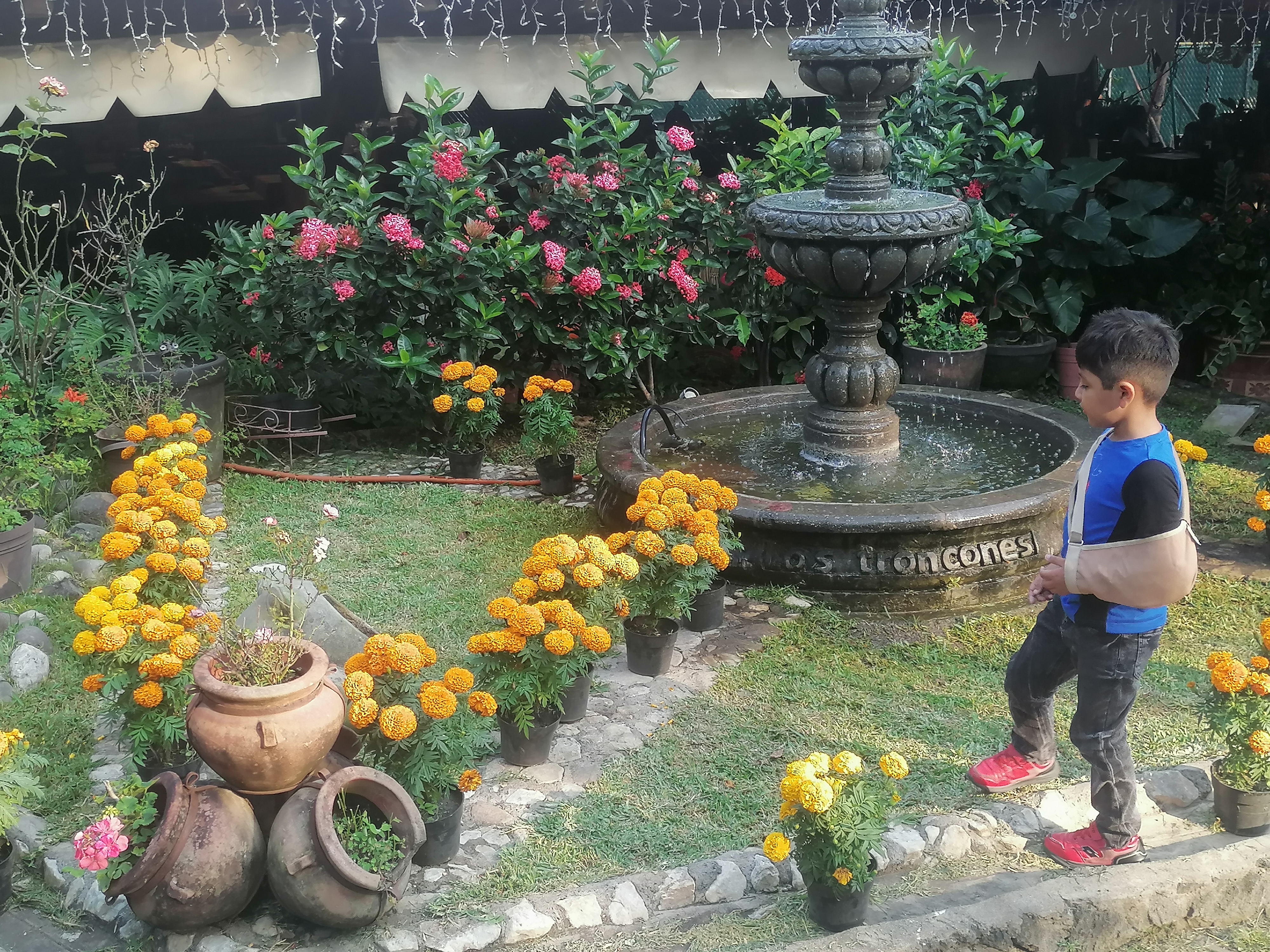 Restaurante Los Troncones image 7