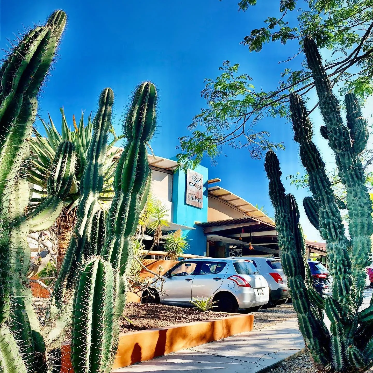 Origen Latino Restaurante image 6