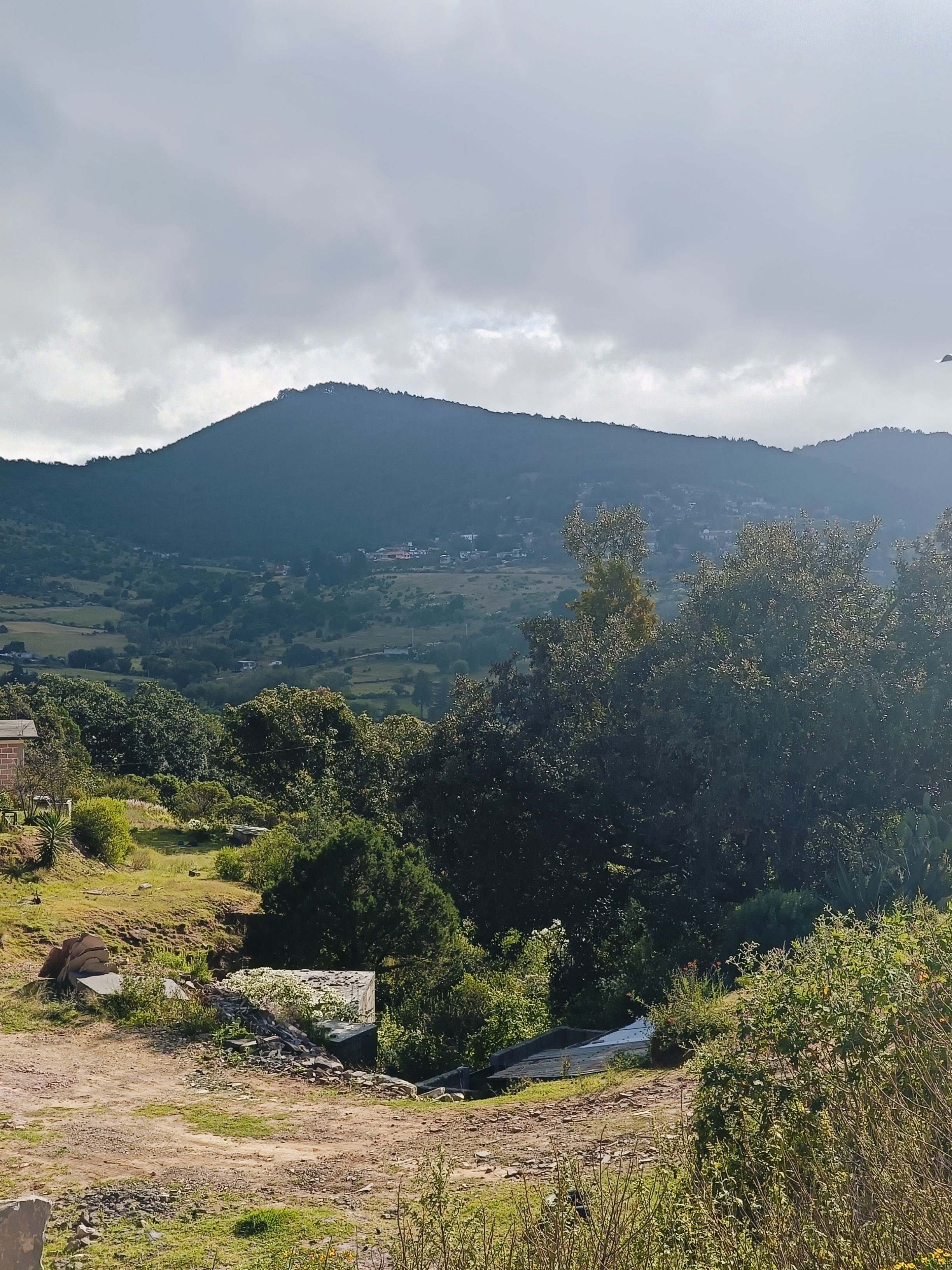 "LA CABAÑA DE SANTA " image 4