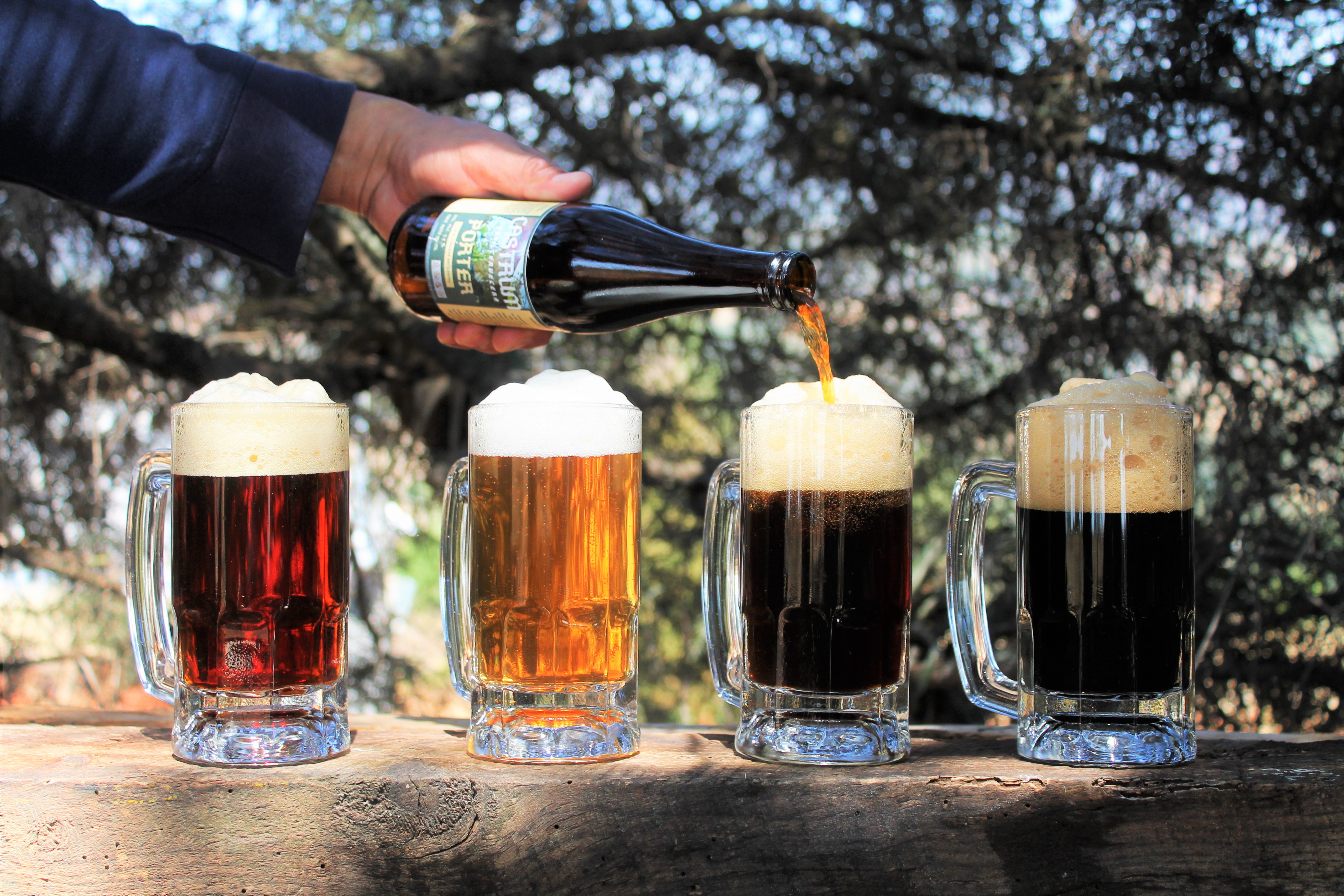 Castrum optimus cervisia image 3