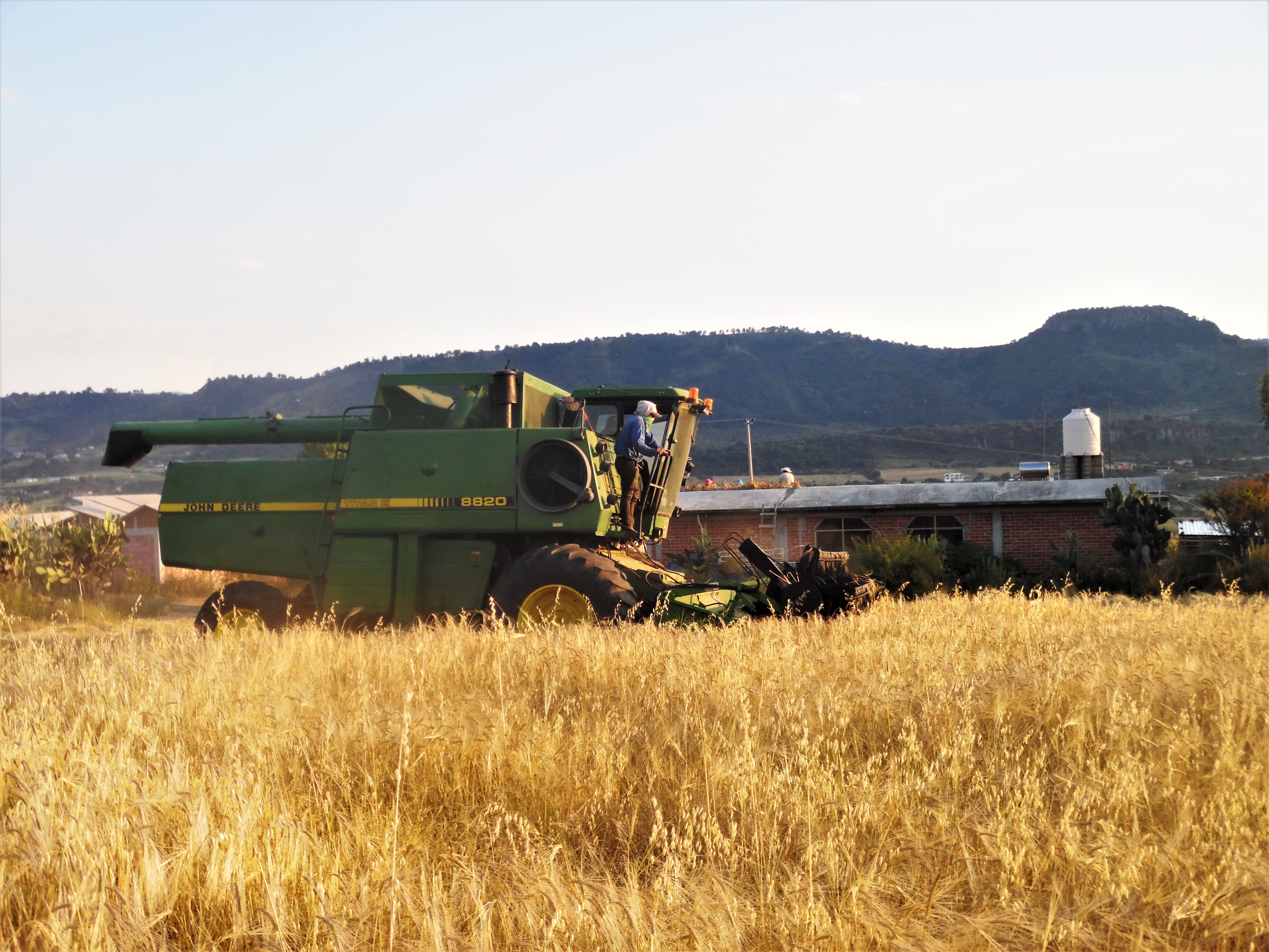 Castrum optimus cervisia image 7