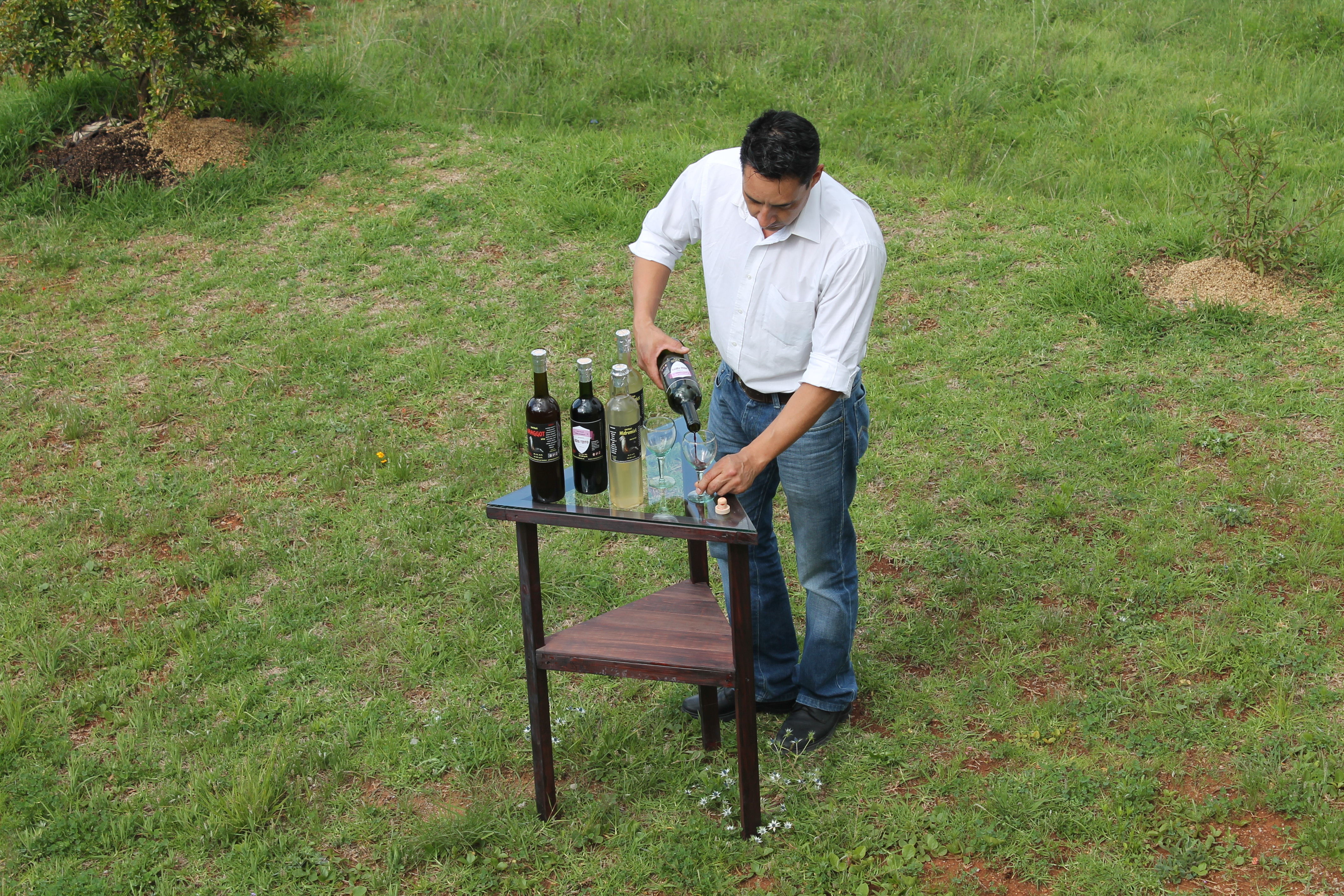 Castrum optimus cervisia image 9