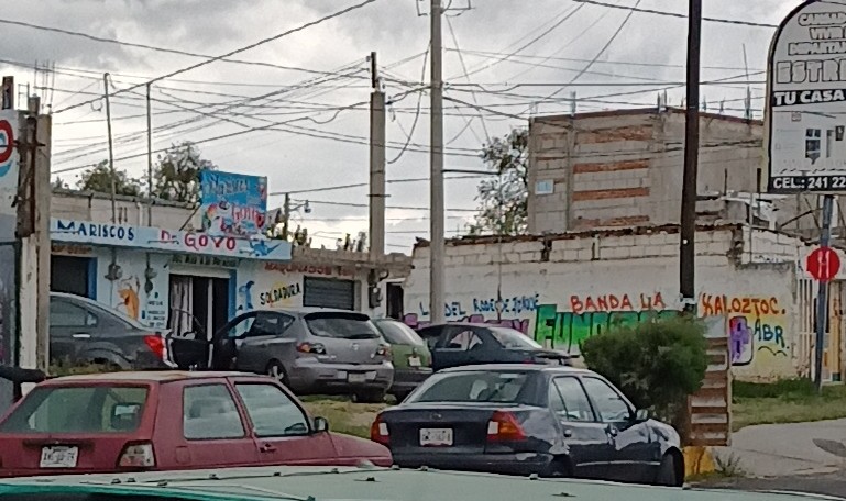 Marisquería "Doctor Goyo" image 2