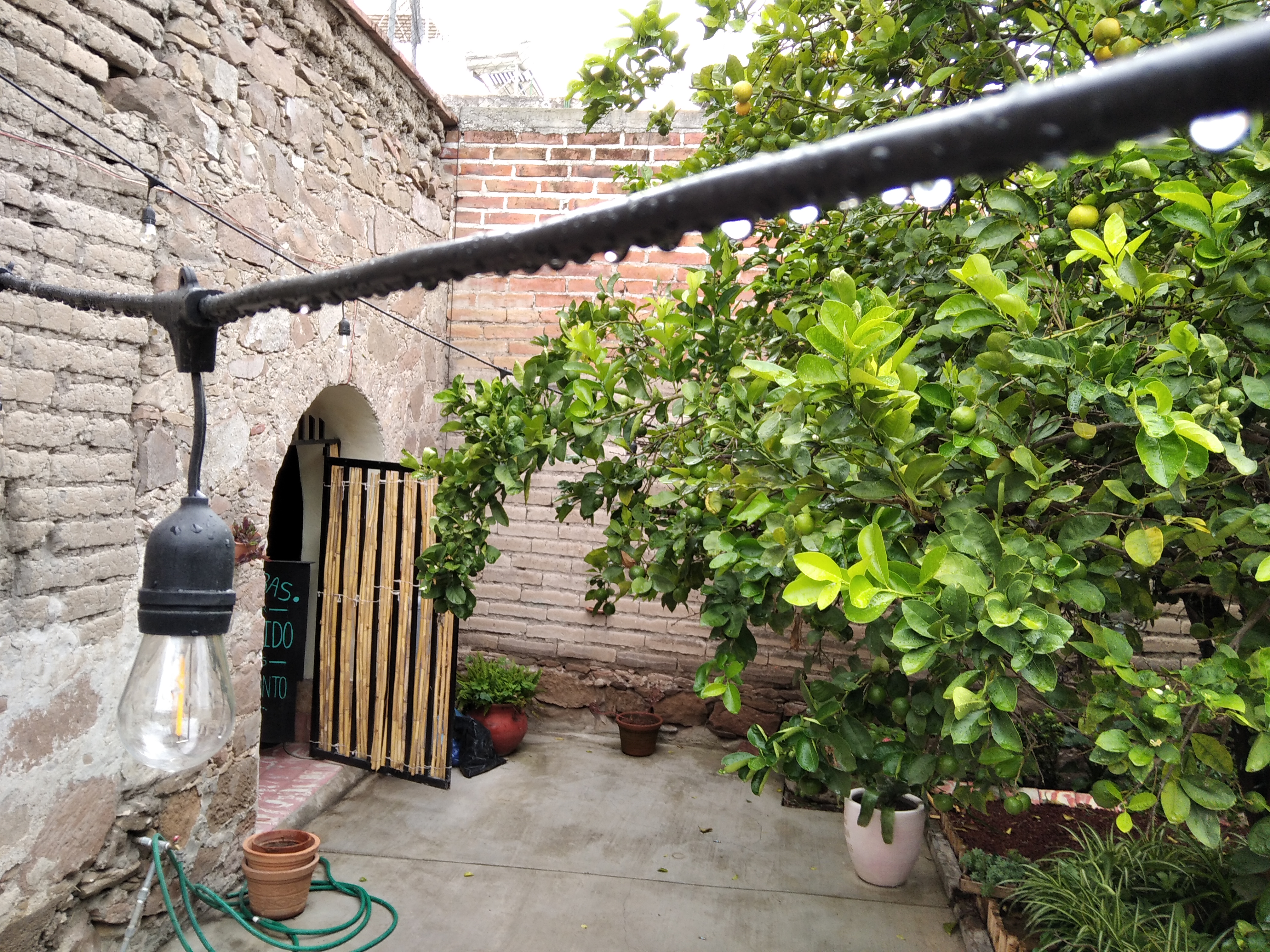 La Casa de las Limas image 7