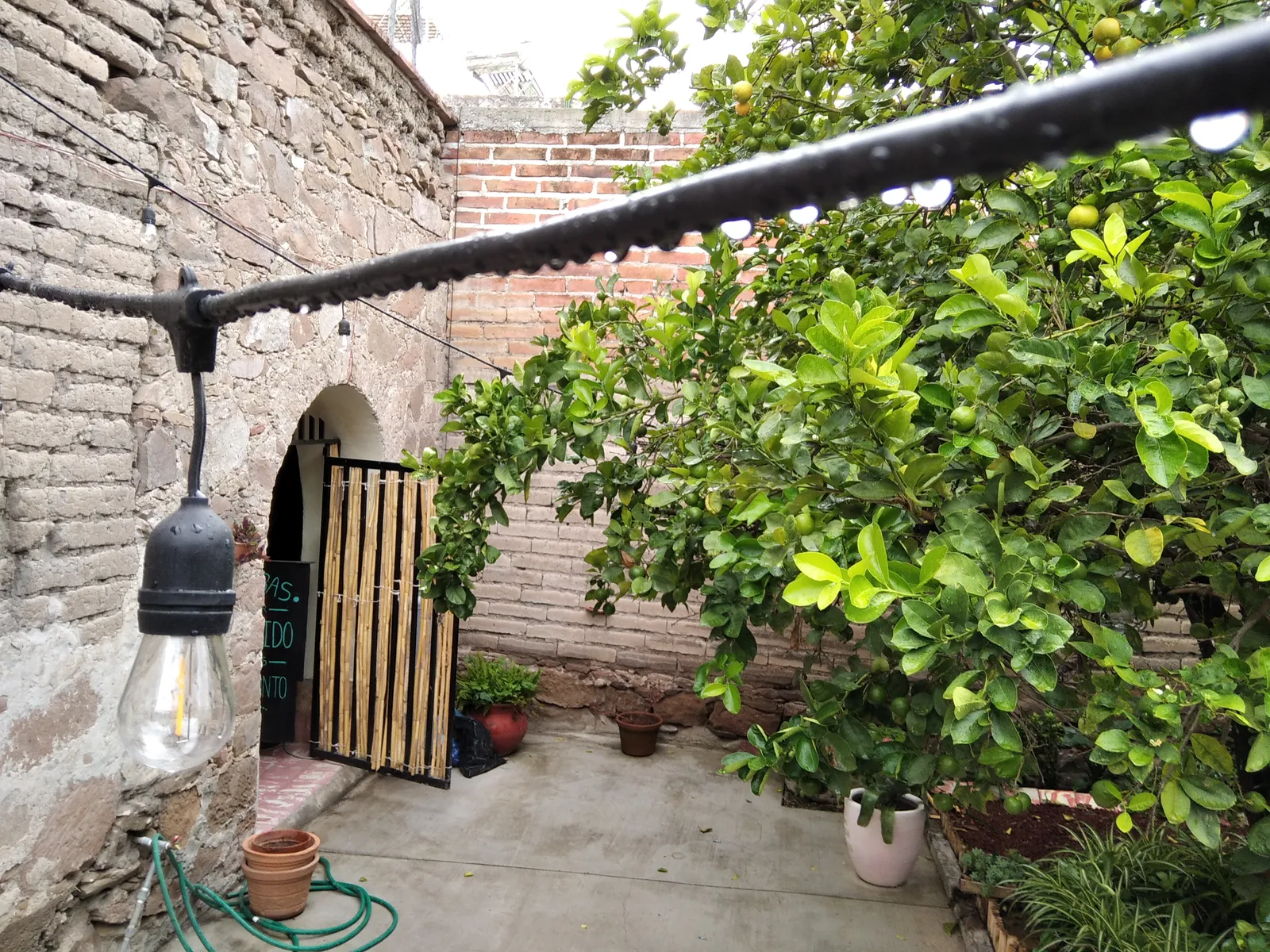 La Casa de las Limas image 7