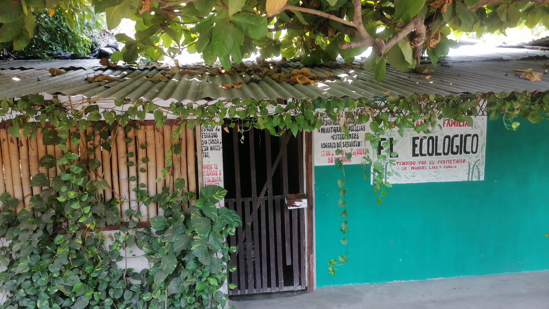 El ECOLÓGICO image 1