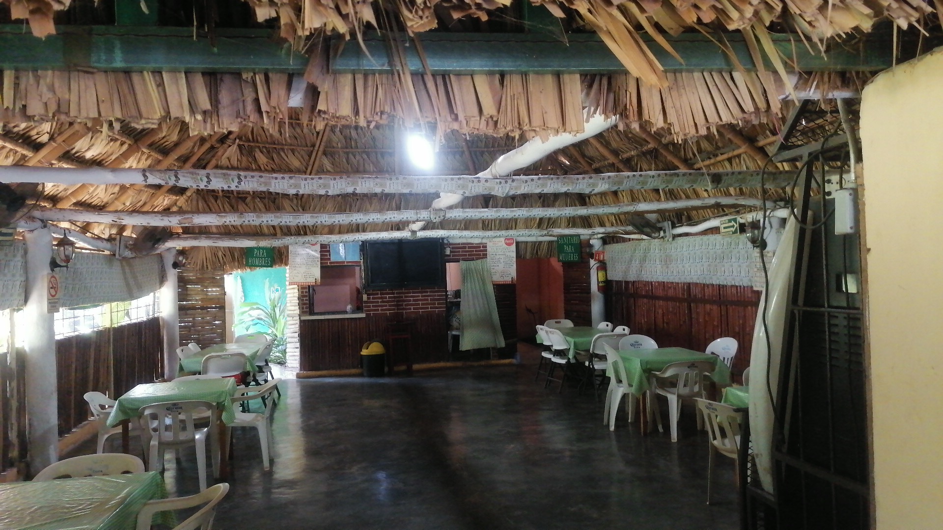 El ECOLÓGICO image 2