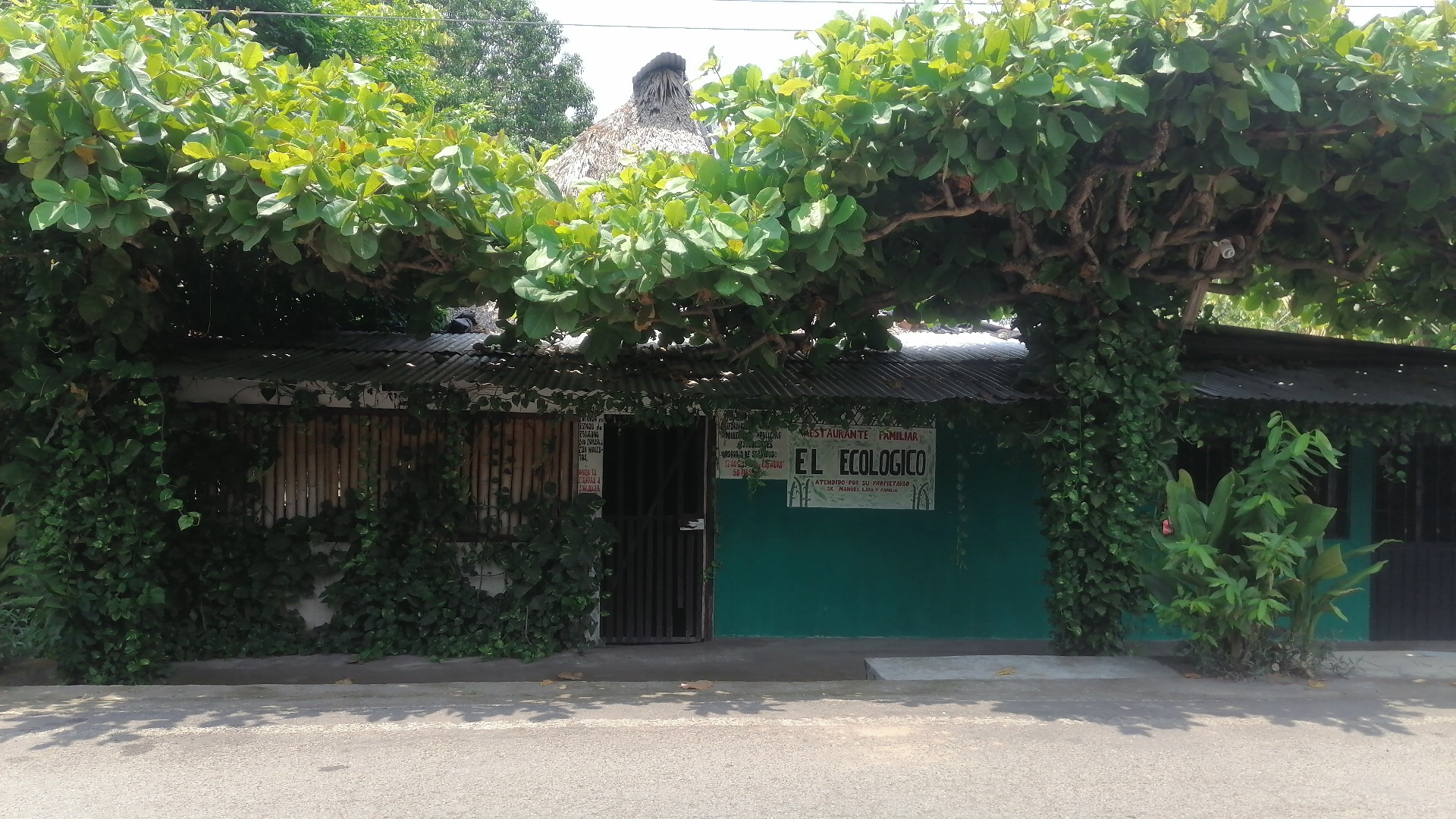 El ECOLÓGICO image 3