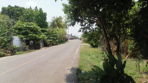 El ECOLÓGICO image 4