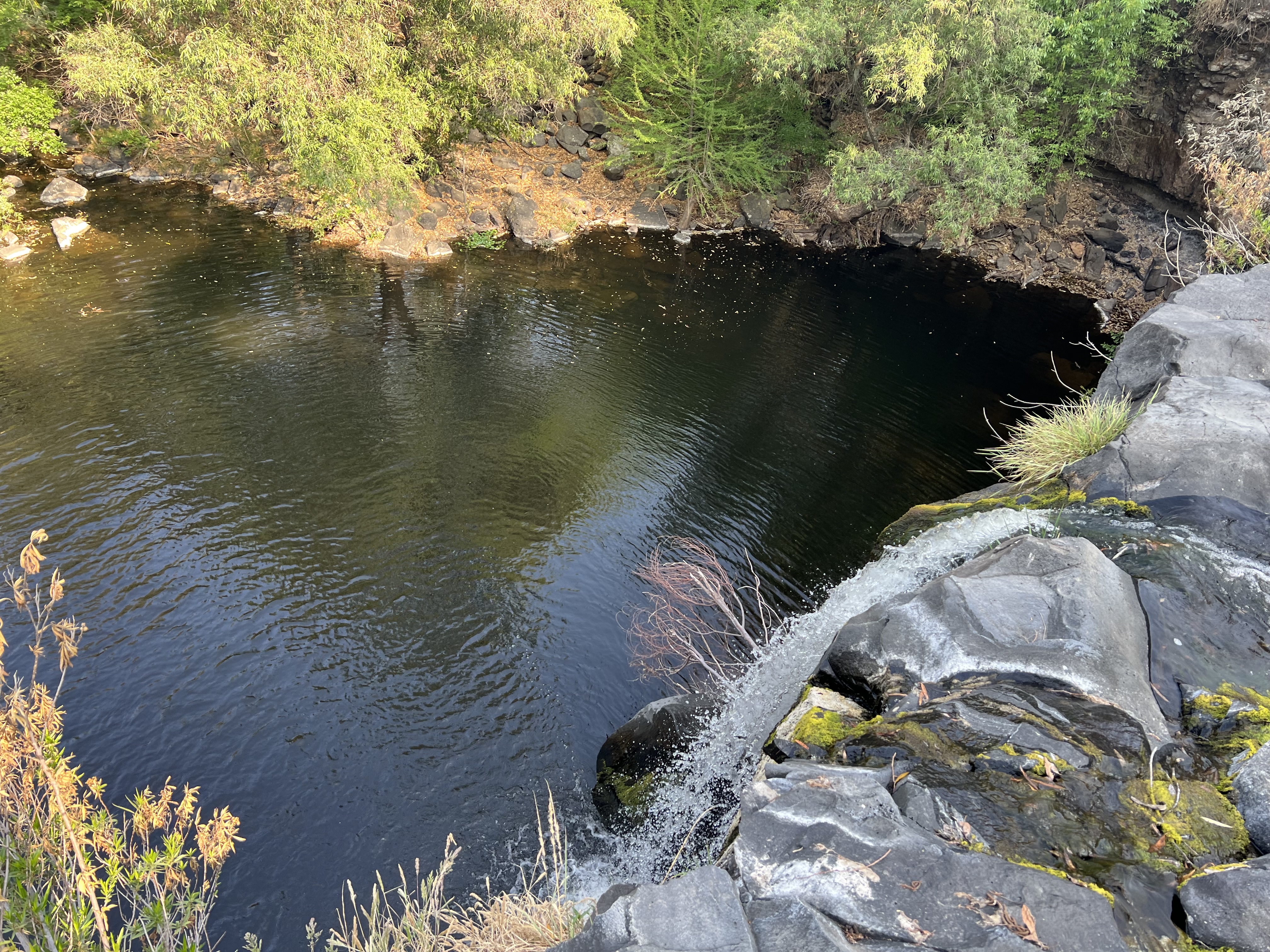 Restaurant & Bar Las Cascadas en el año 2024 image 4