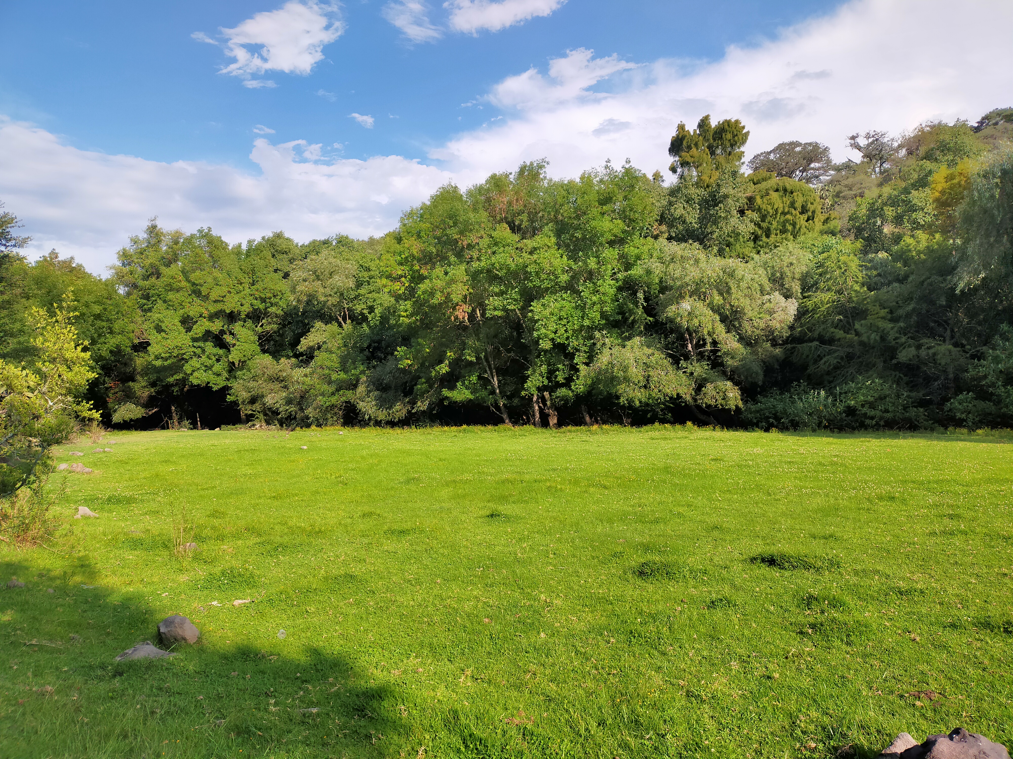 Restaurant & Bar Las Cascadas en el año 2024 image 7