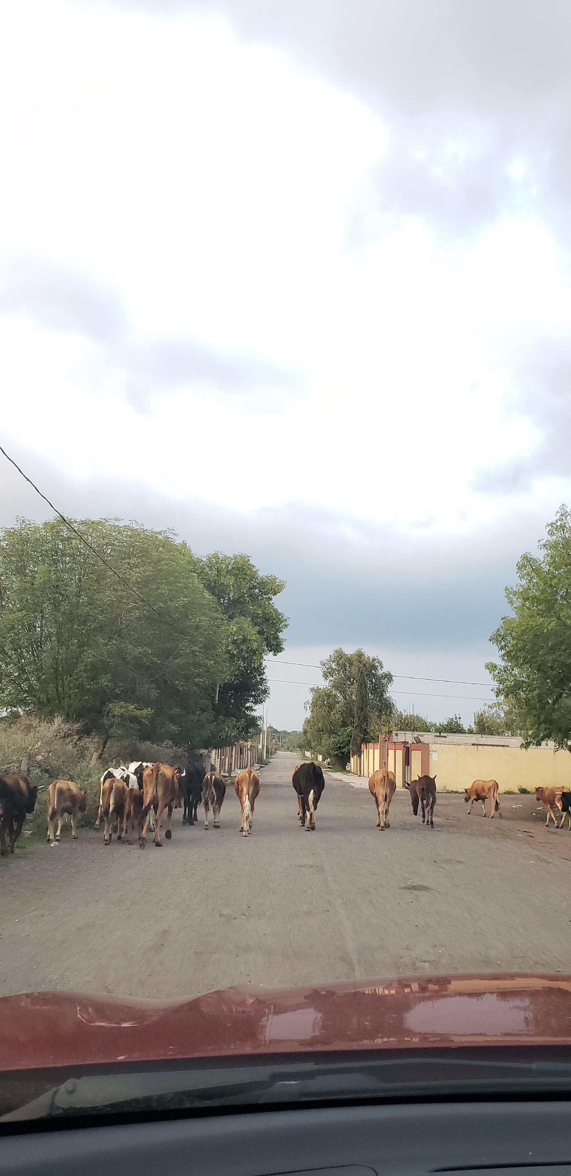 Restaurant & Bar Las Cascadas en el año 2024 image 10