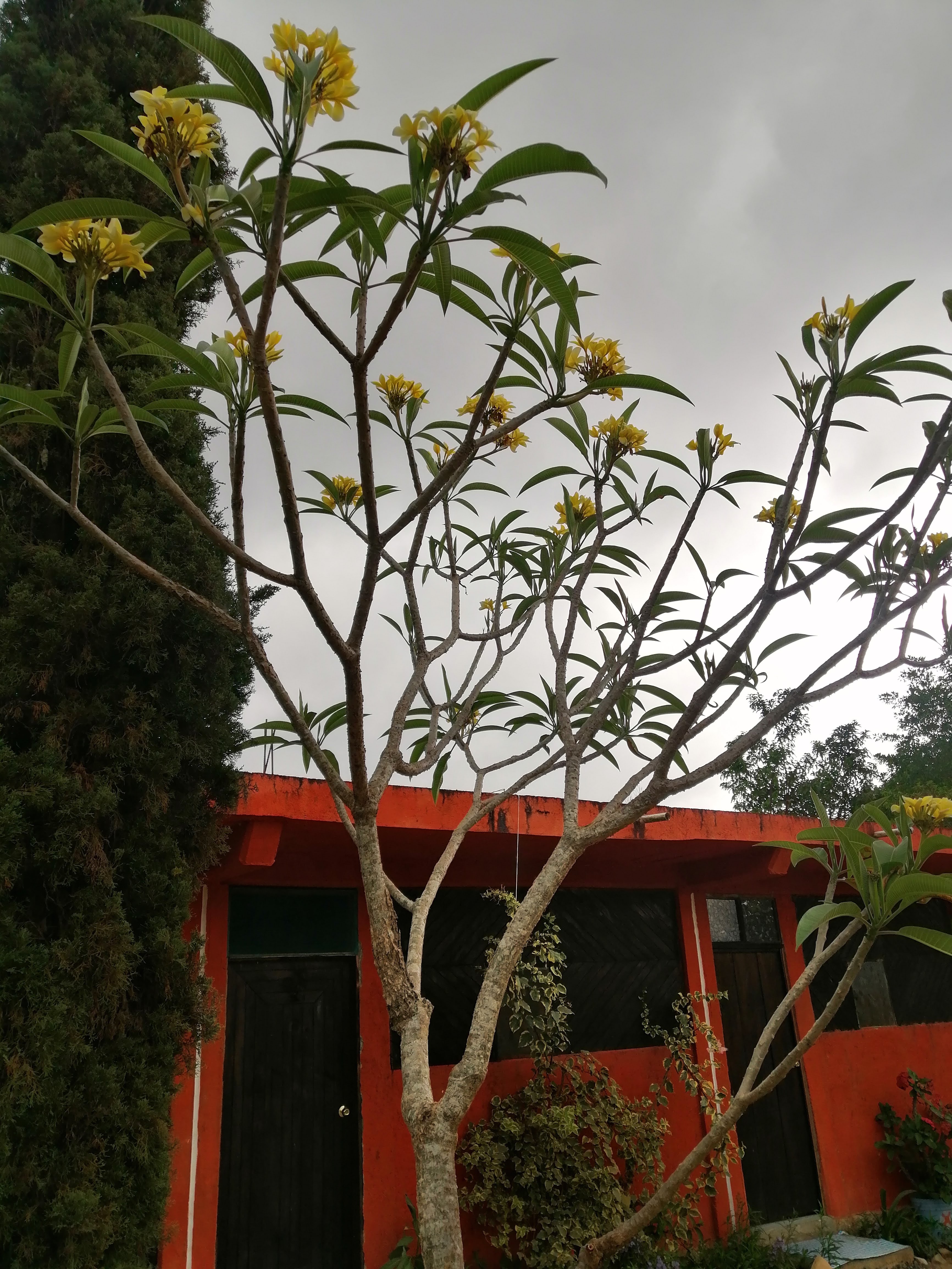 La Providencia image 2