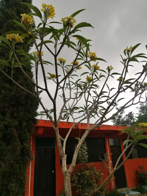 La Providencia image 2