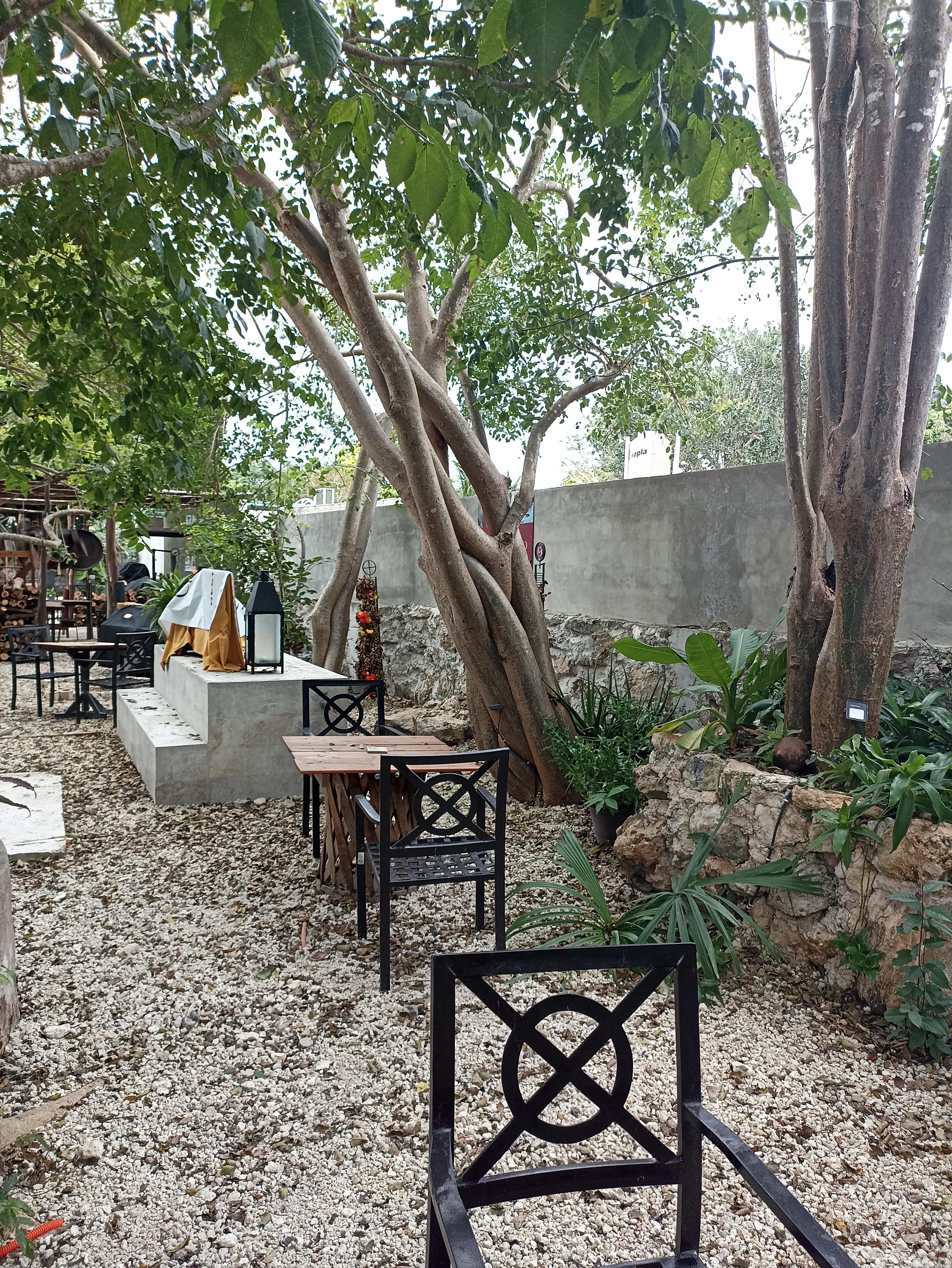 Casona Ciruelo image 2