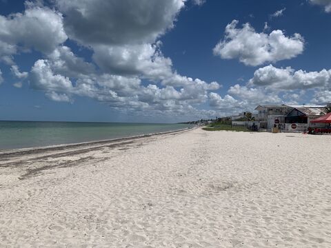 La Picuda image 6